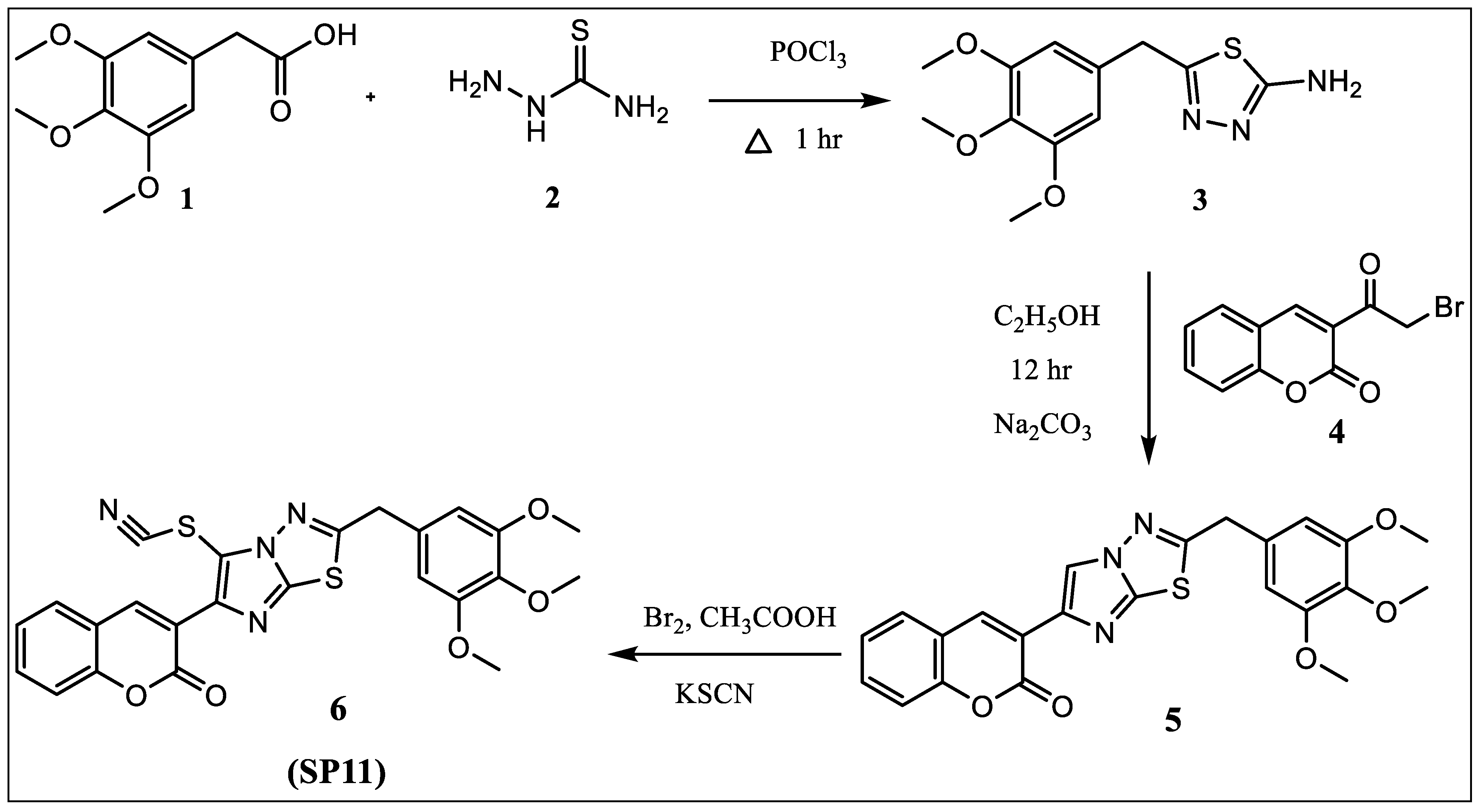 Molecules 28 05226 g008