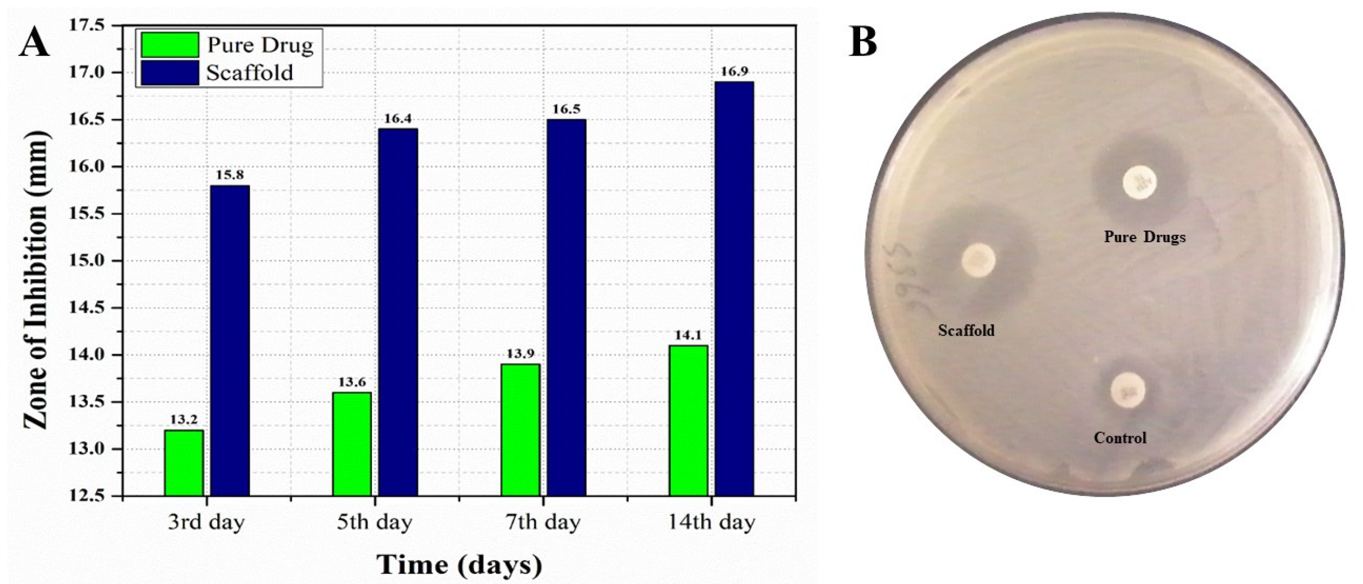 Molecules 28 05233 g006