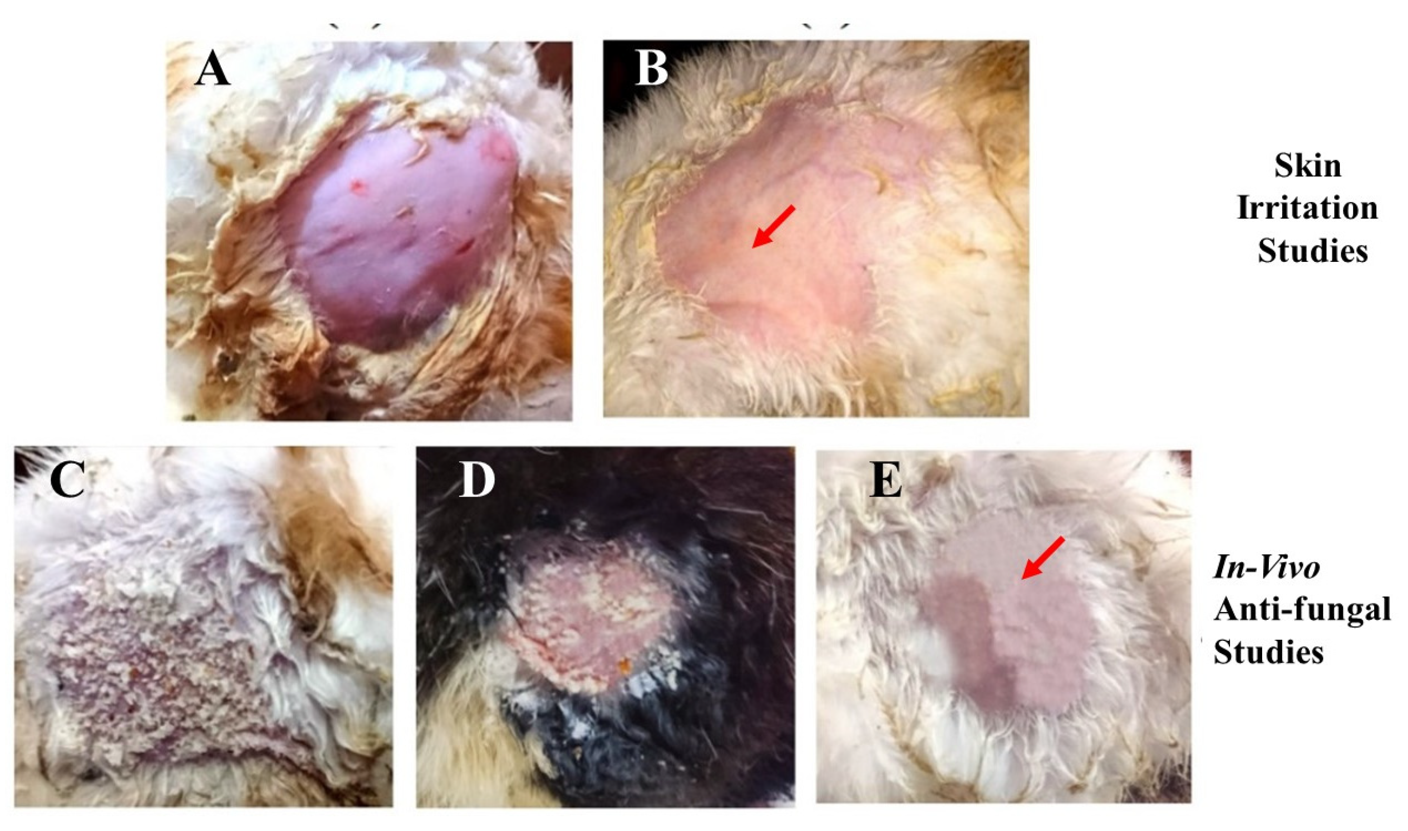 Molecules 28 05233 g008