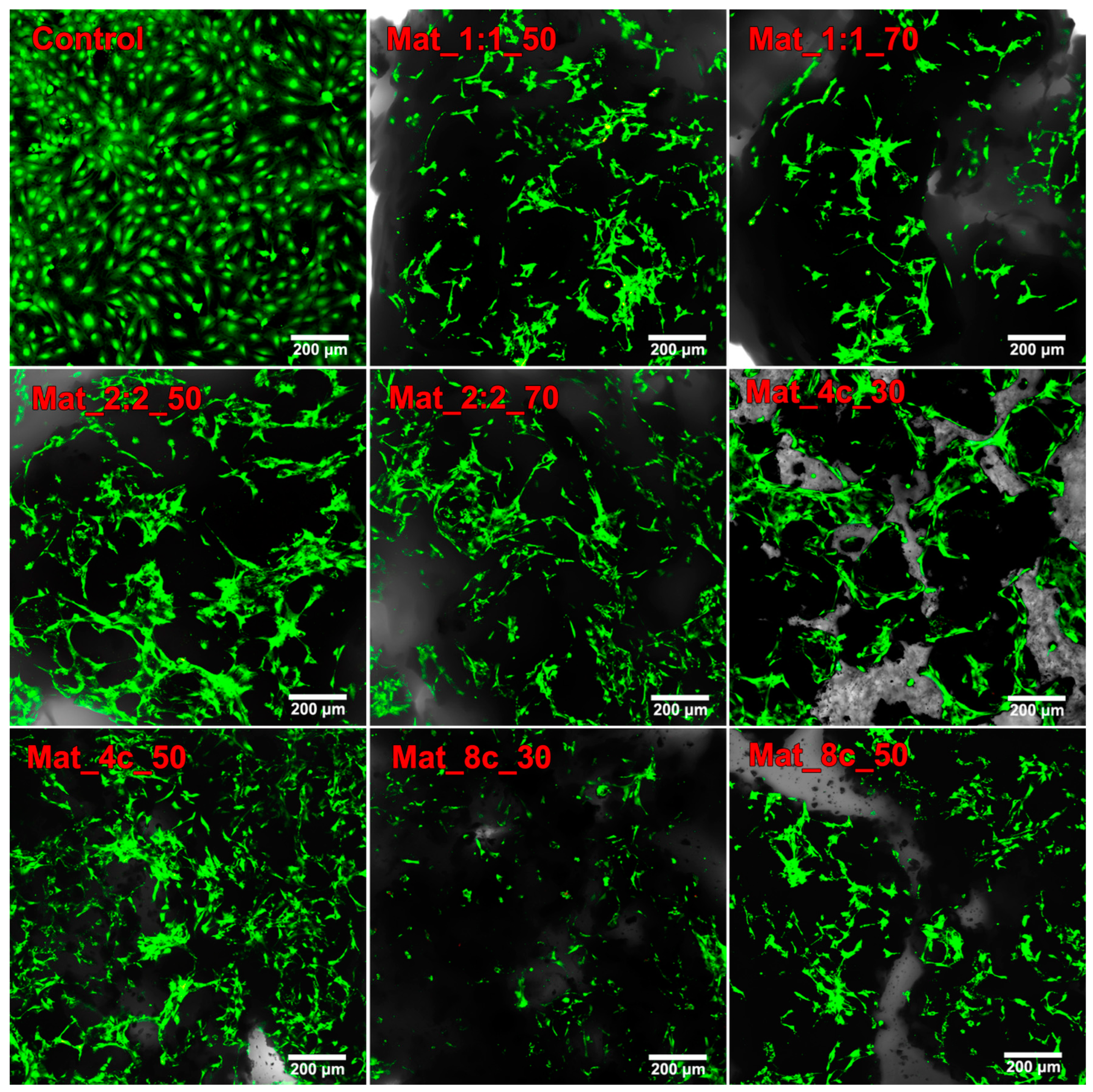 Molecules 28 05238 g008