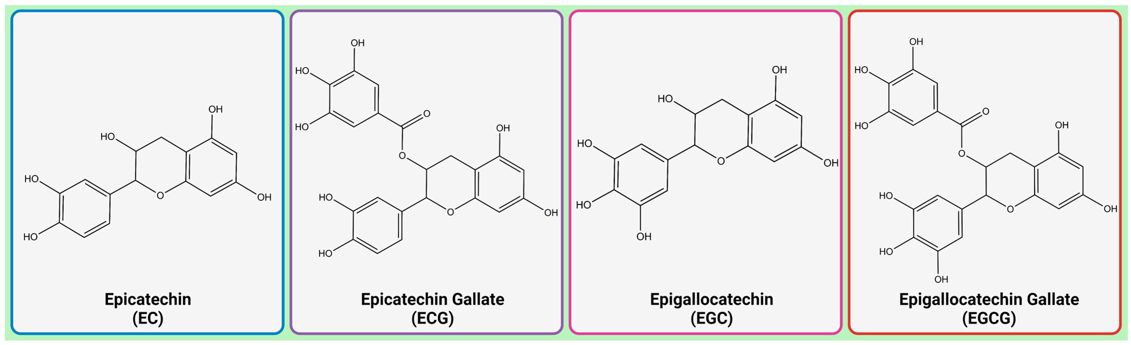 Molecules 28 05246 g001