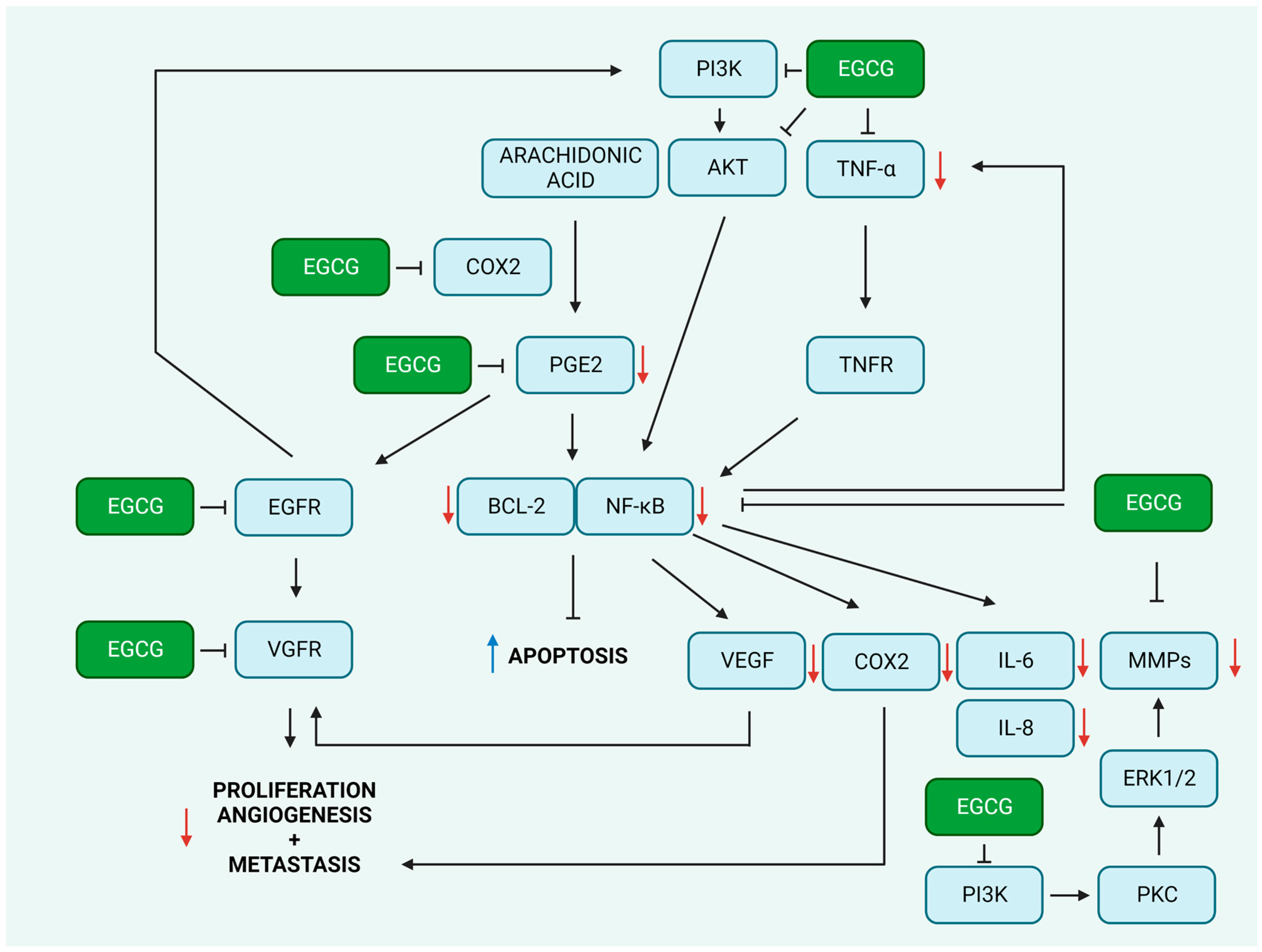 Molecules 28 05246 g002