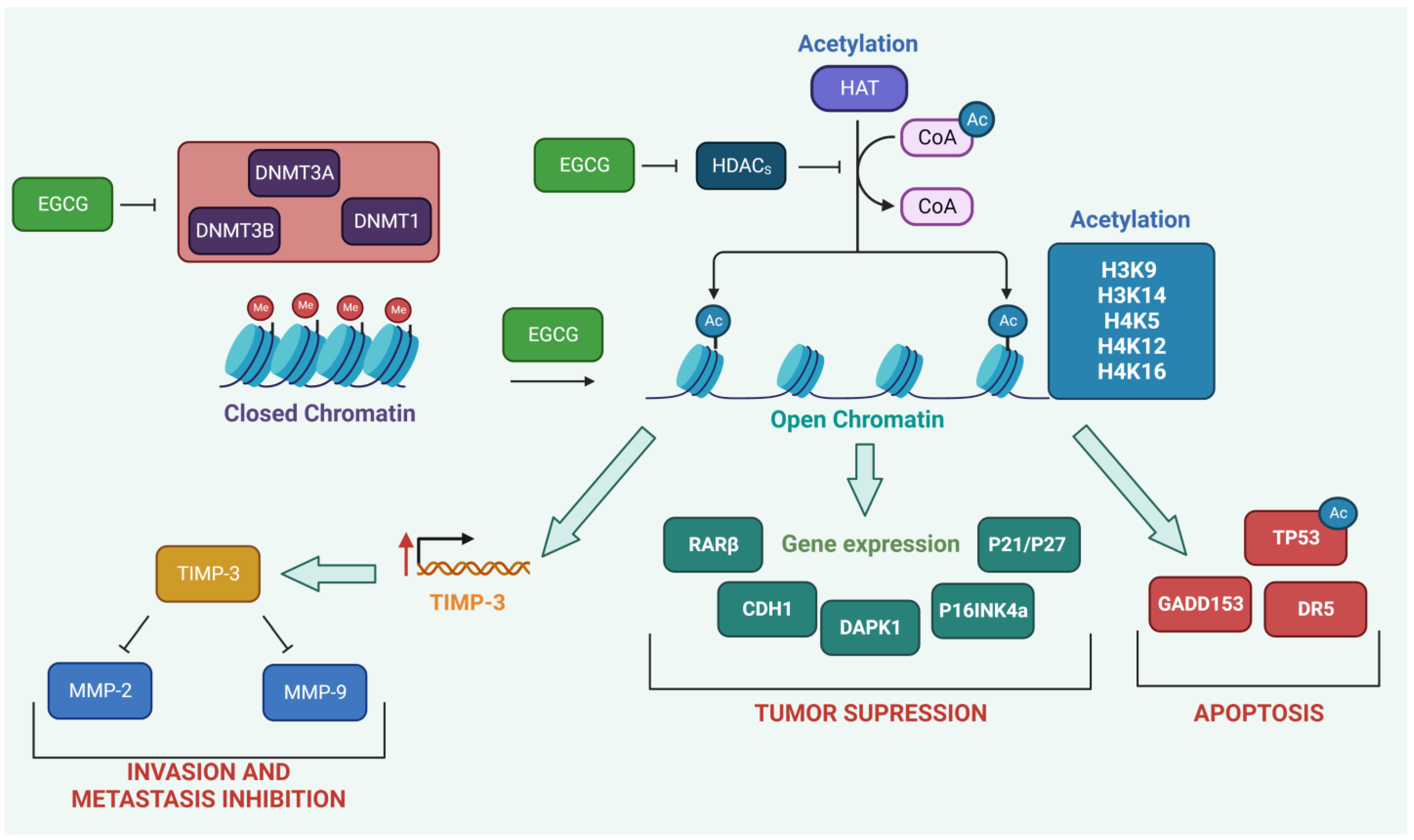 Molecules 28 05246 g003