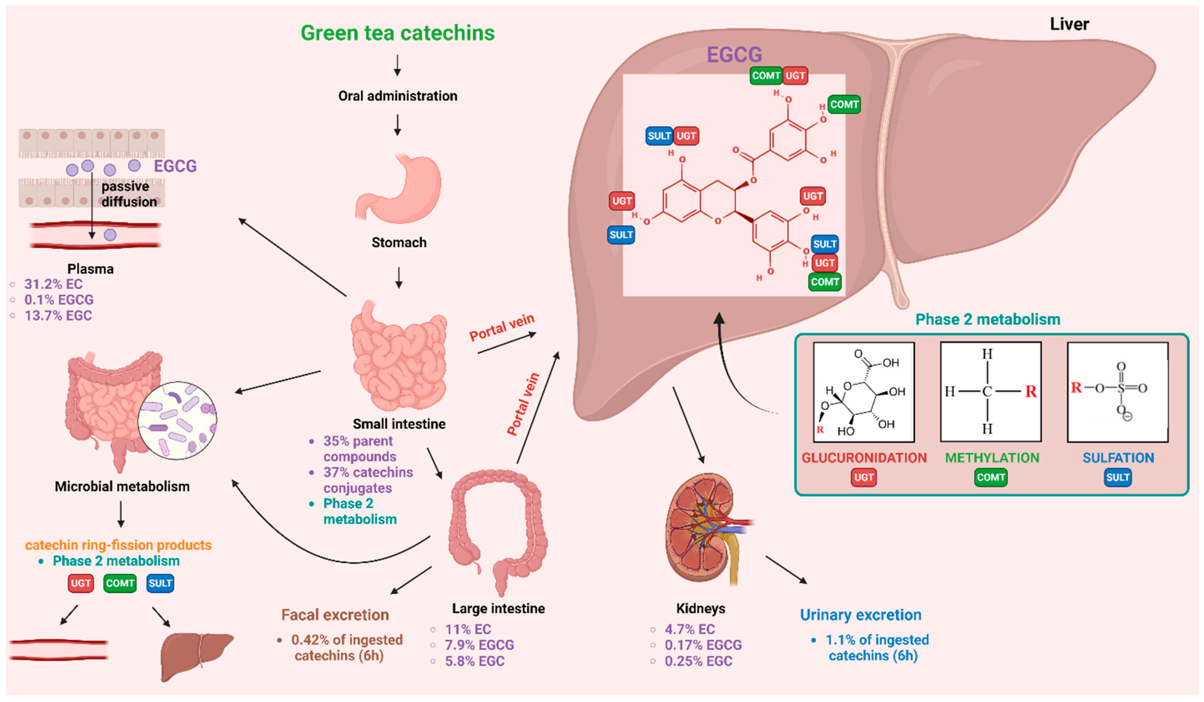 Molecules 28 05246 g005