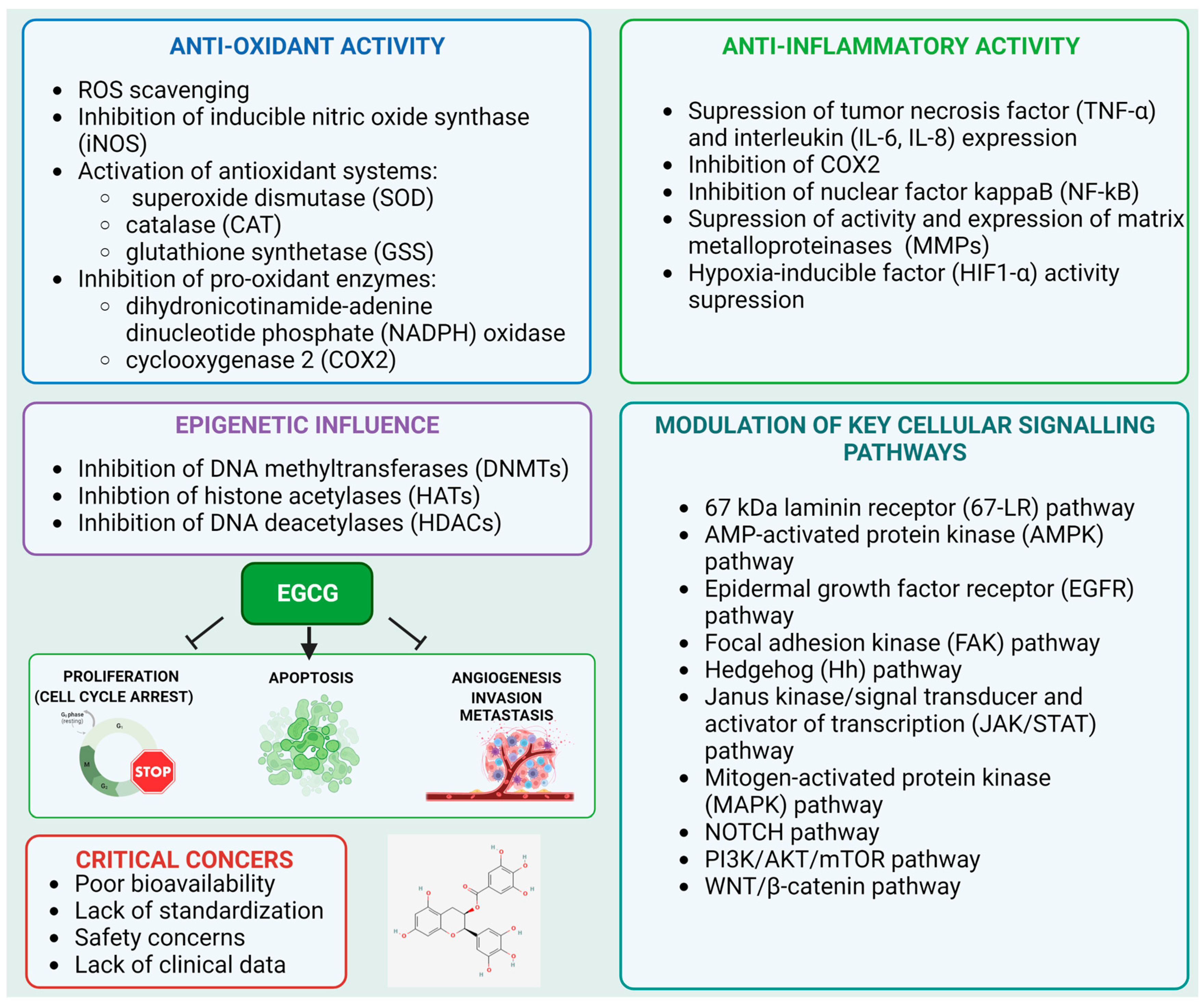 Molecules 28 05246 g006