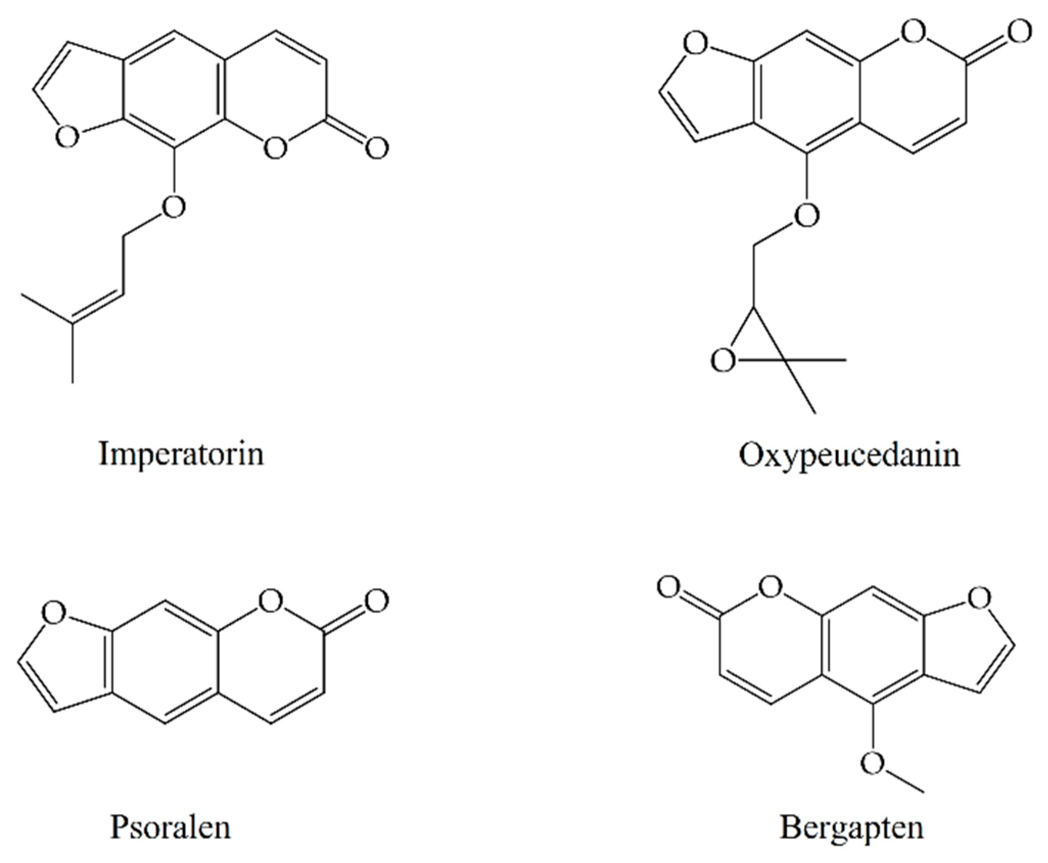 Molecules 28 05248 g006
