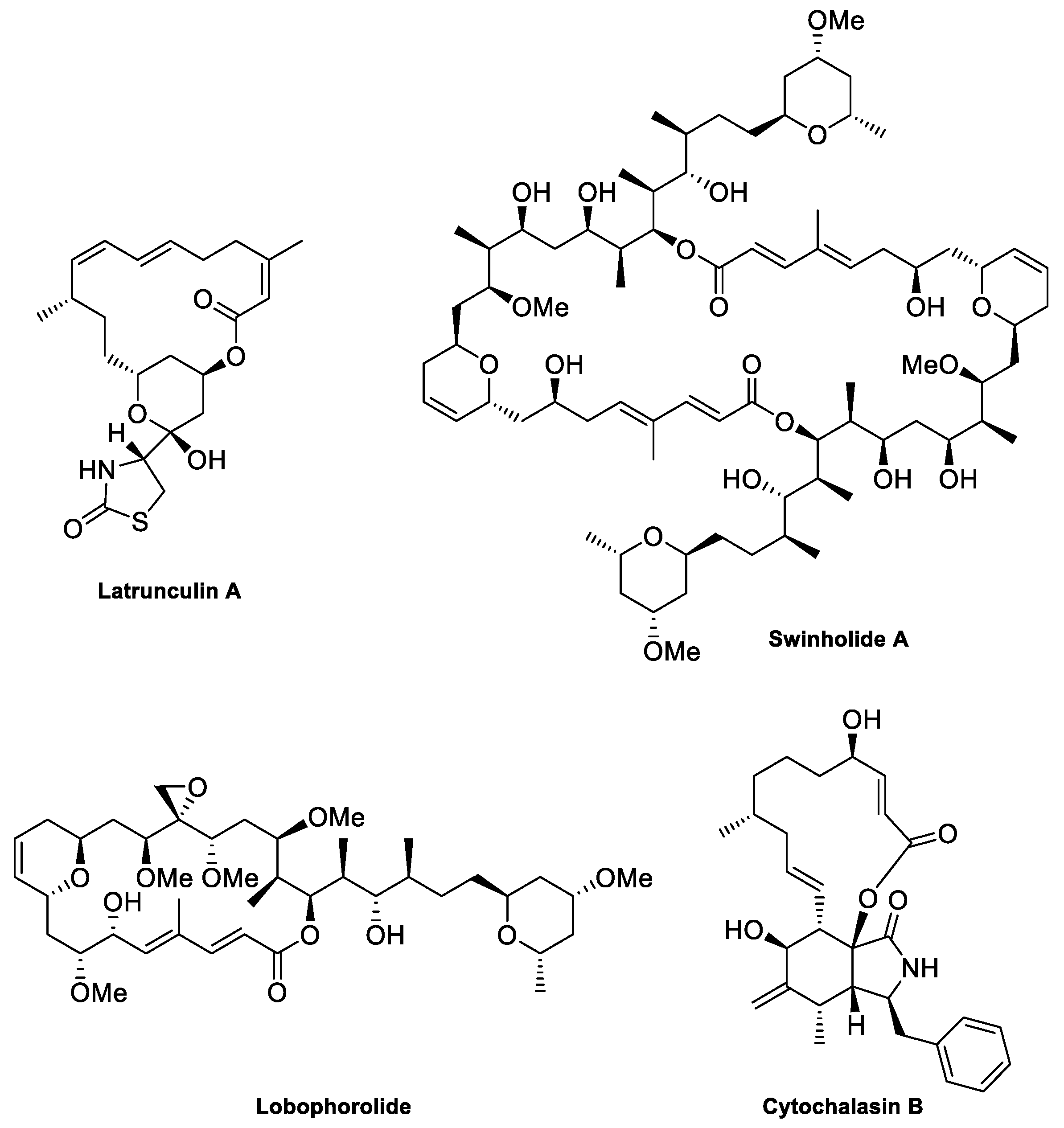 Molecules 28 05249 g003
