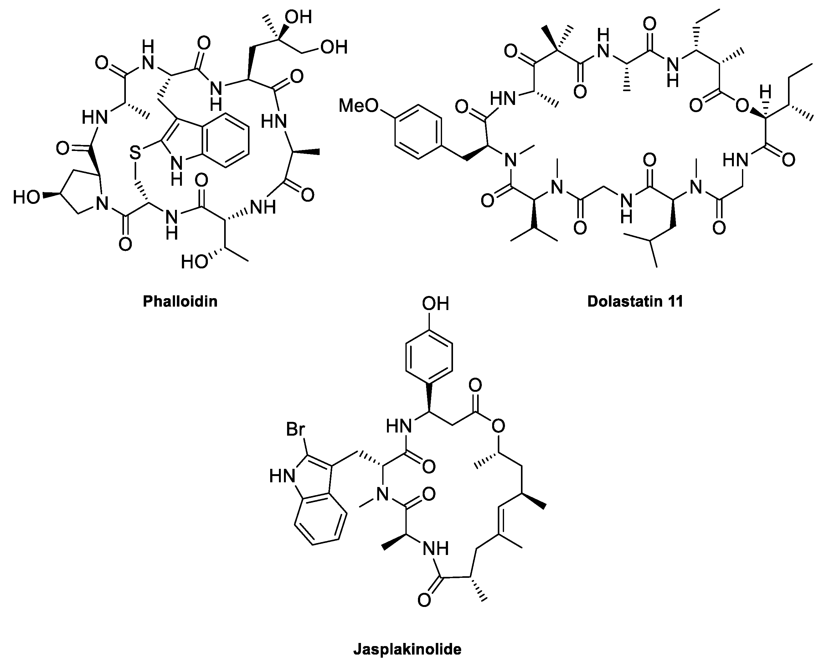 Molecules 28 05249 g004