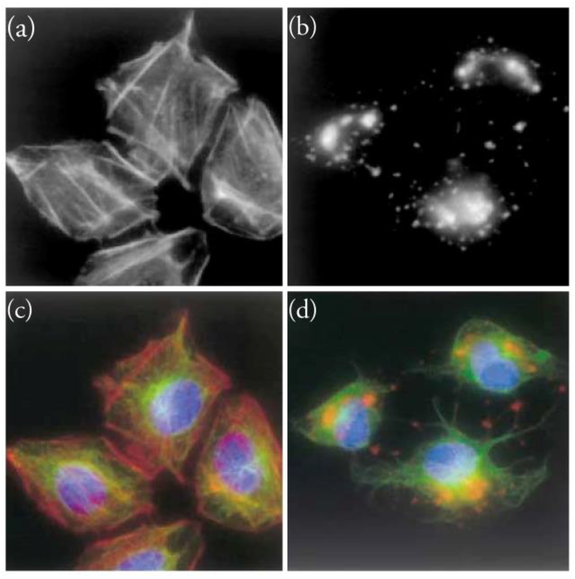 Molecules 28 05249 g005