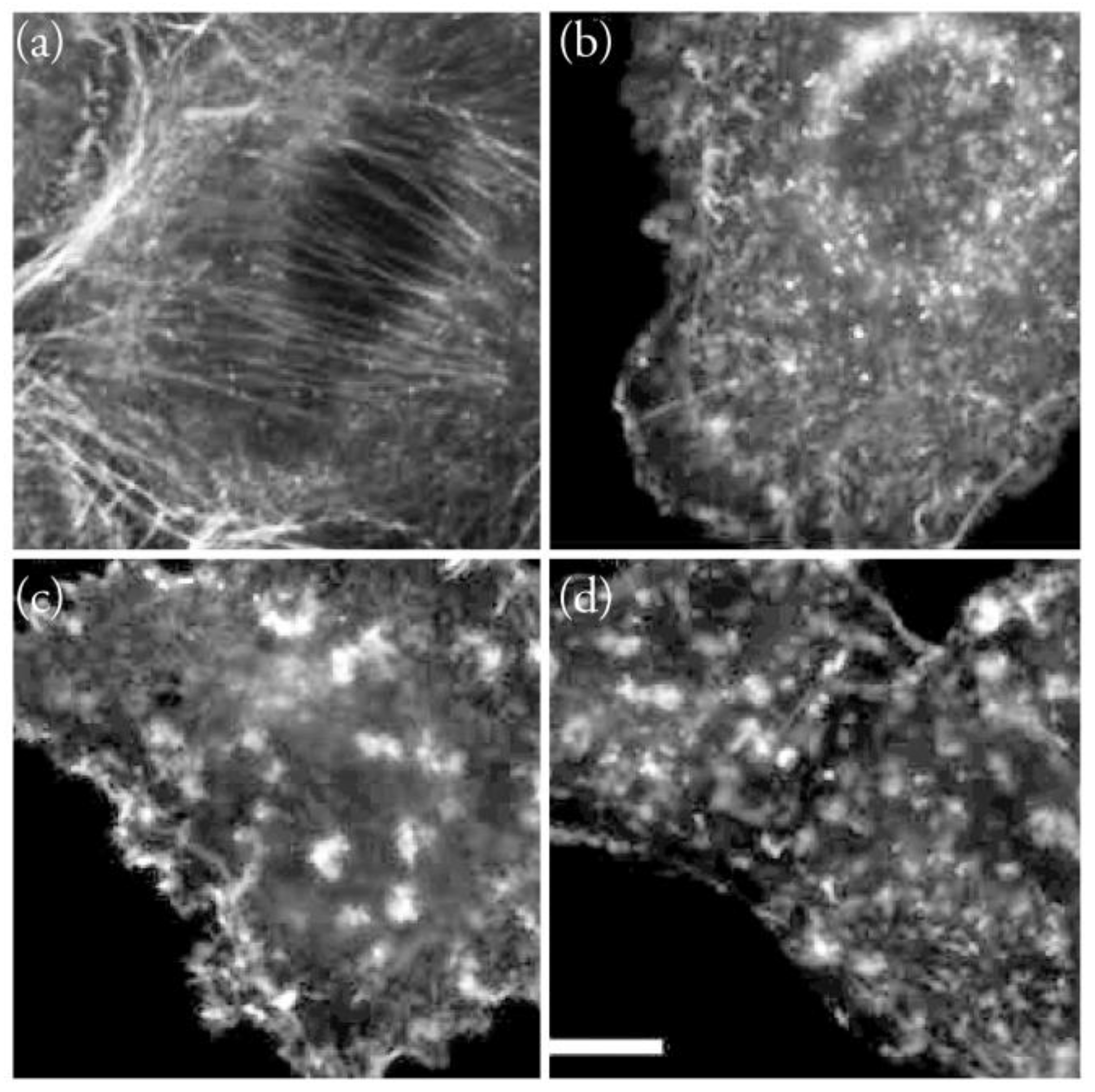 Molecules 28 05249 g006