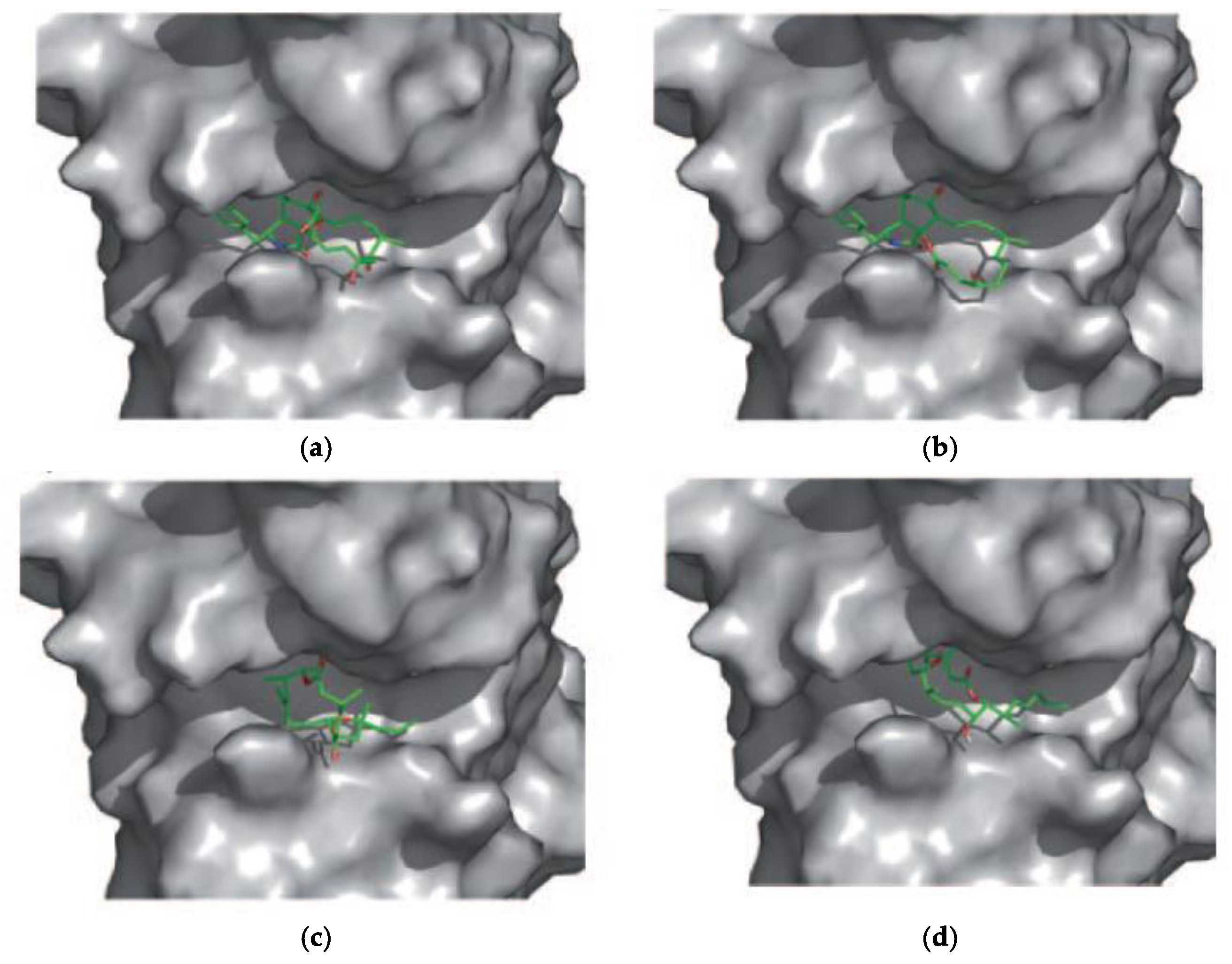 Molecules 28 05249 g007