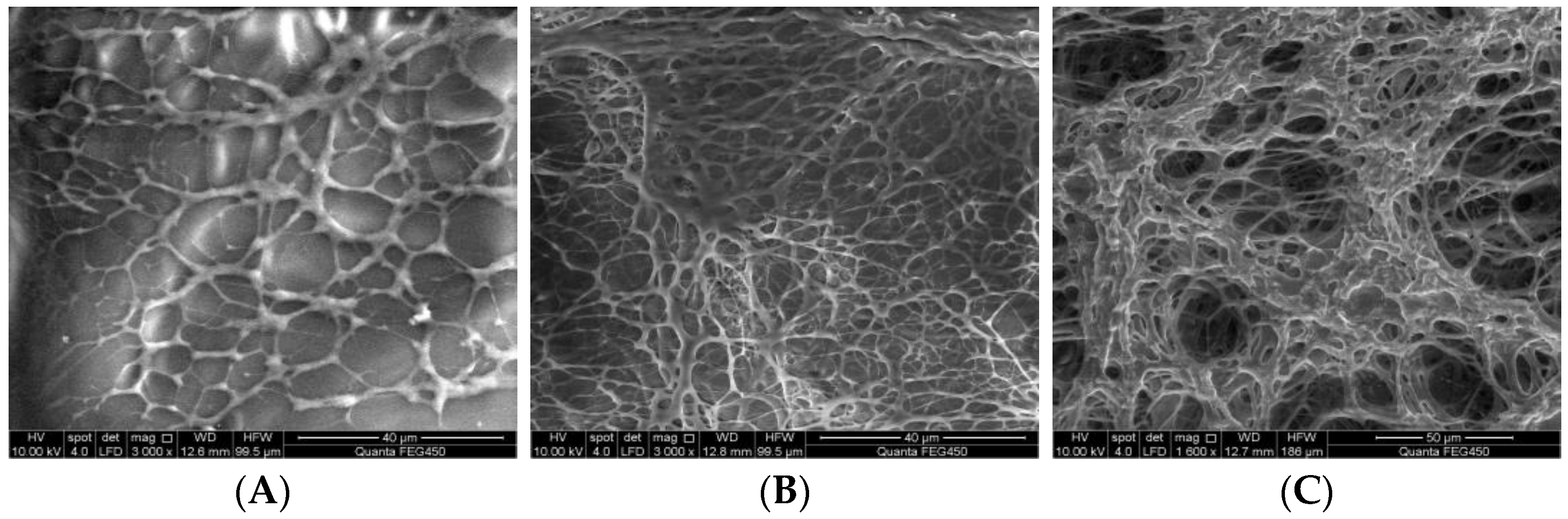 Molecules 28 05257 g003