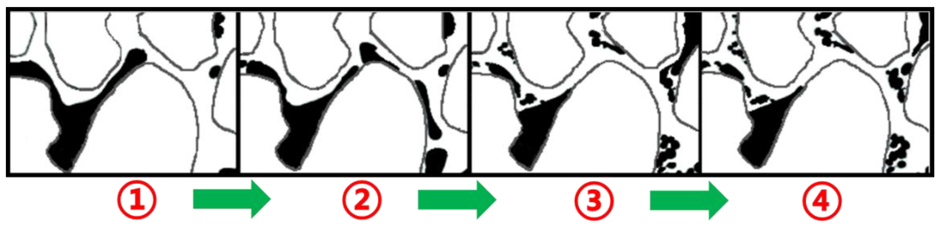 Molecules 28 05257 g010