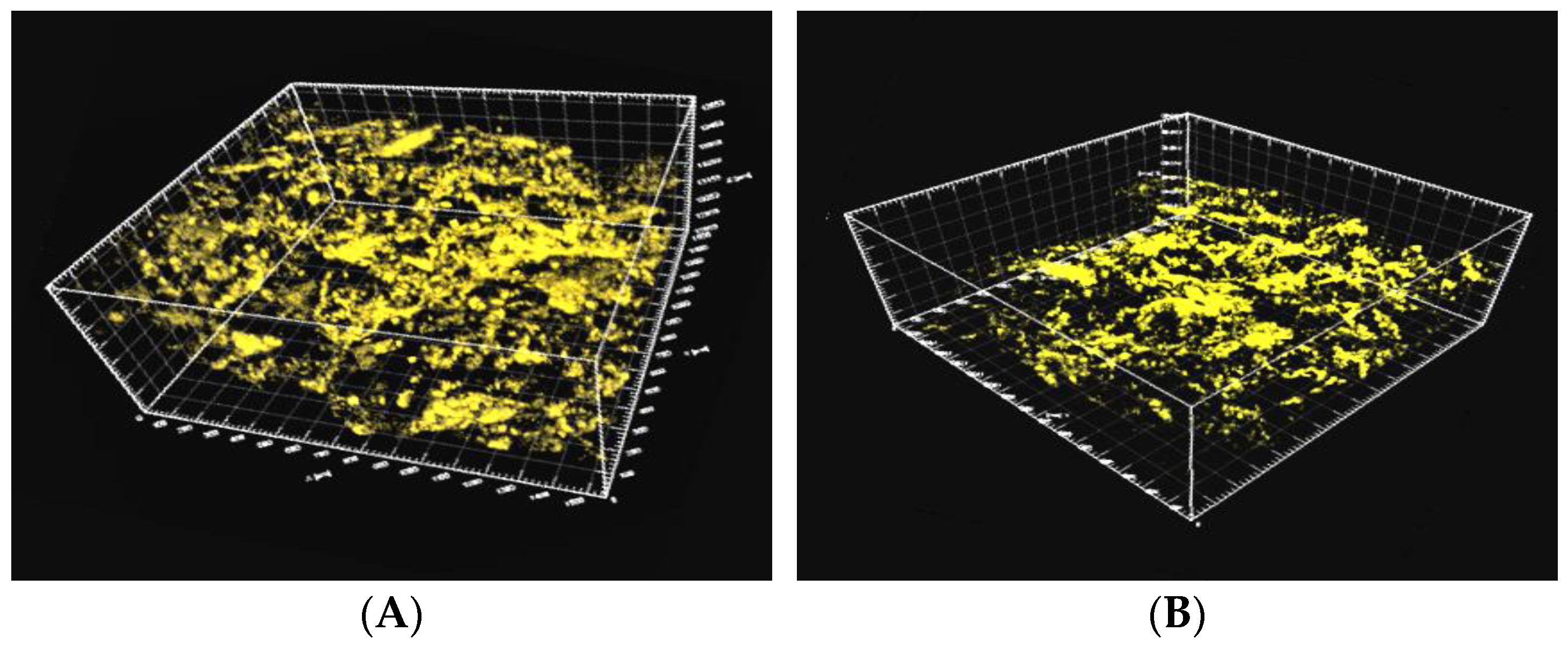Molecules 28 05257 g013