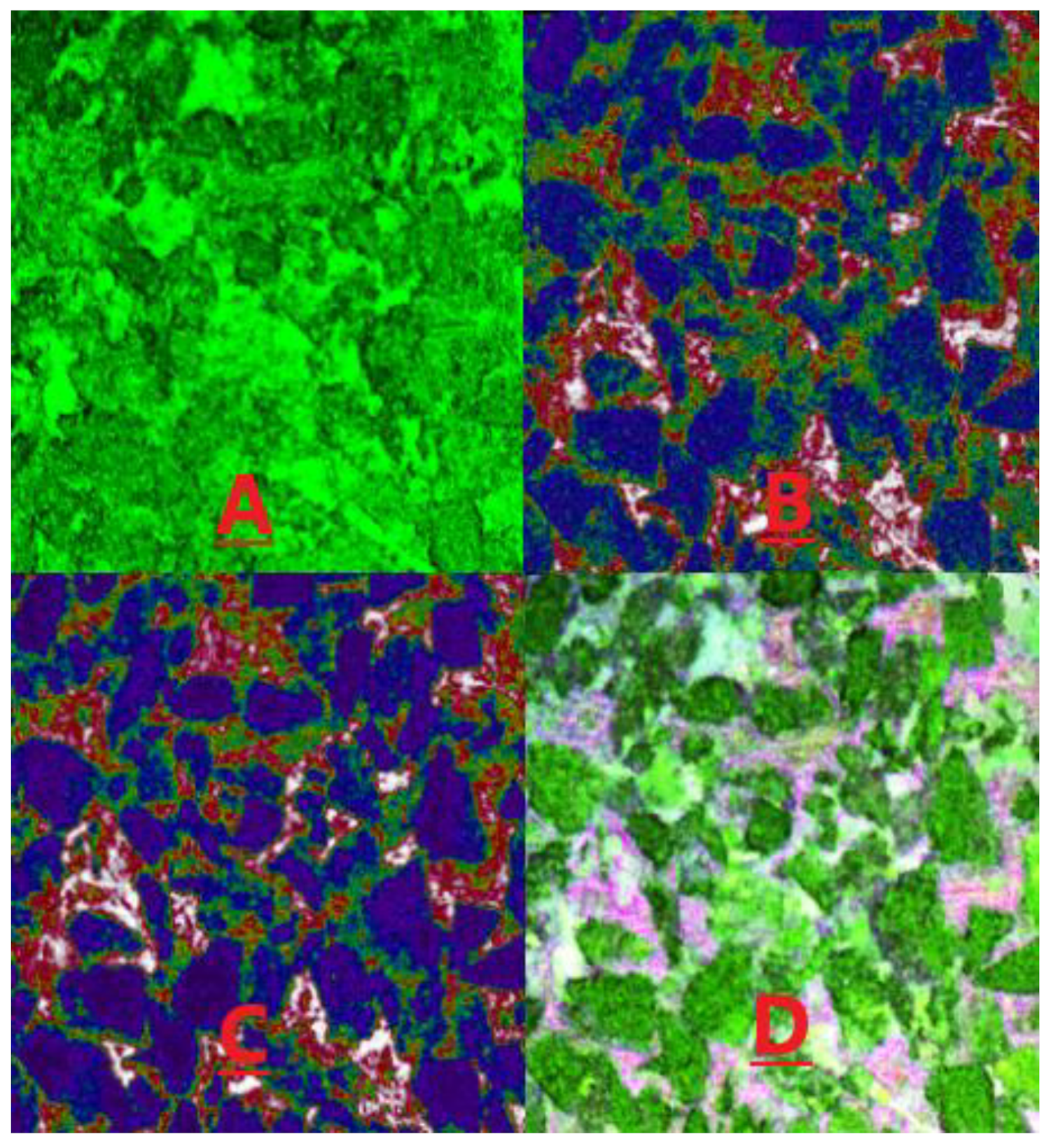 Molecules 28 05257 g015