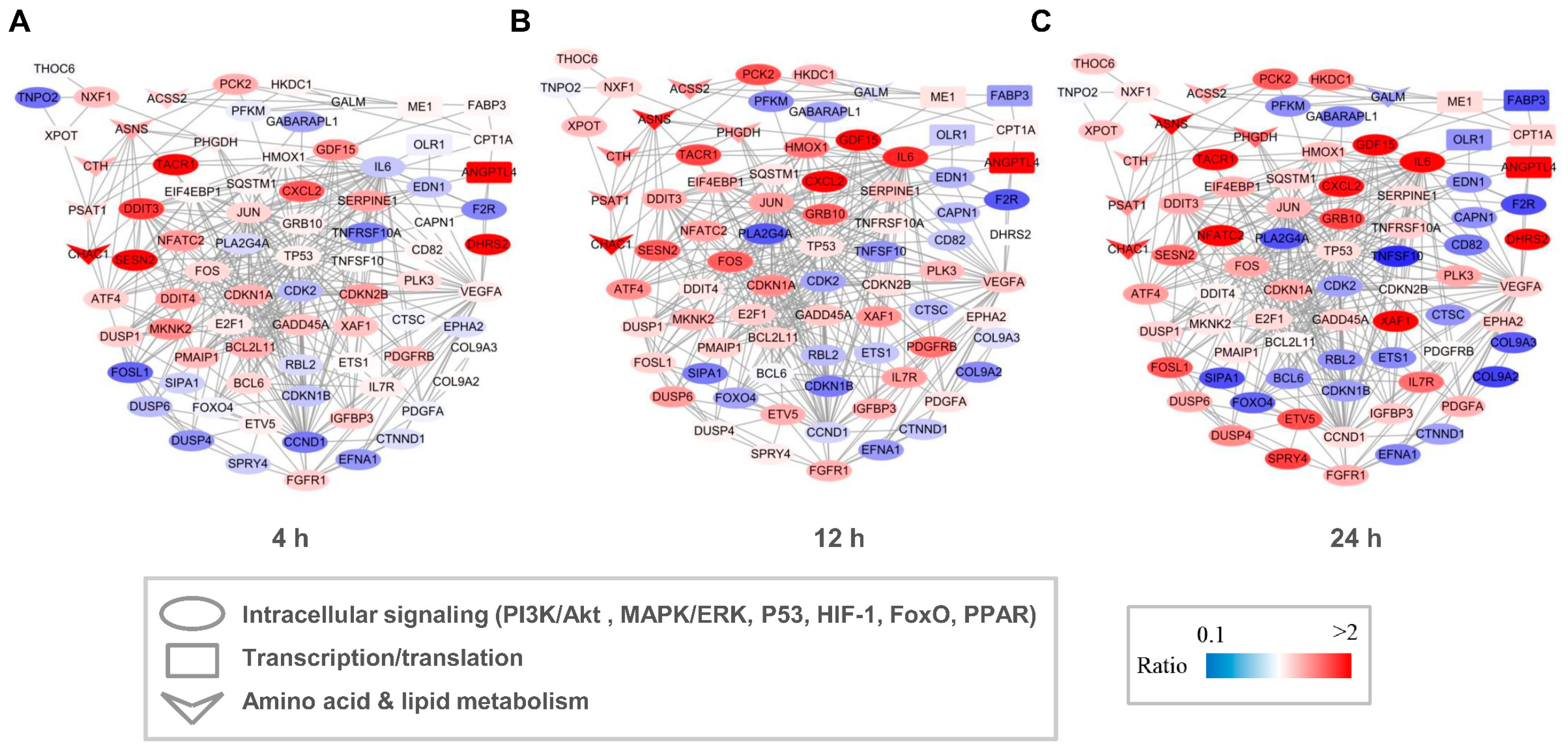 Molecules 28 05258 g006