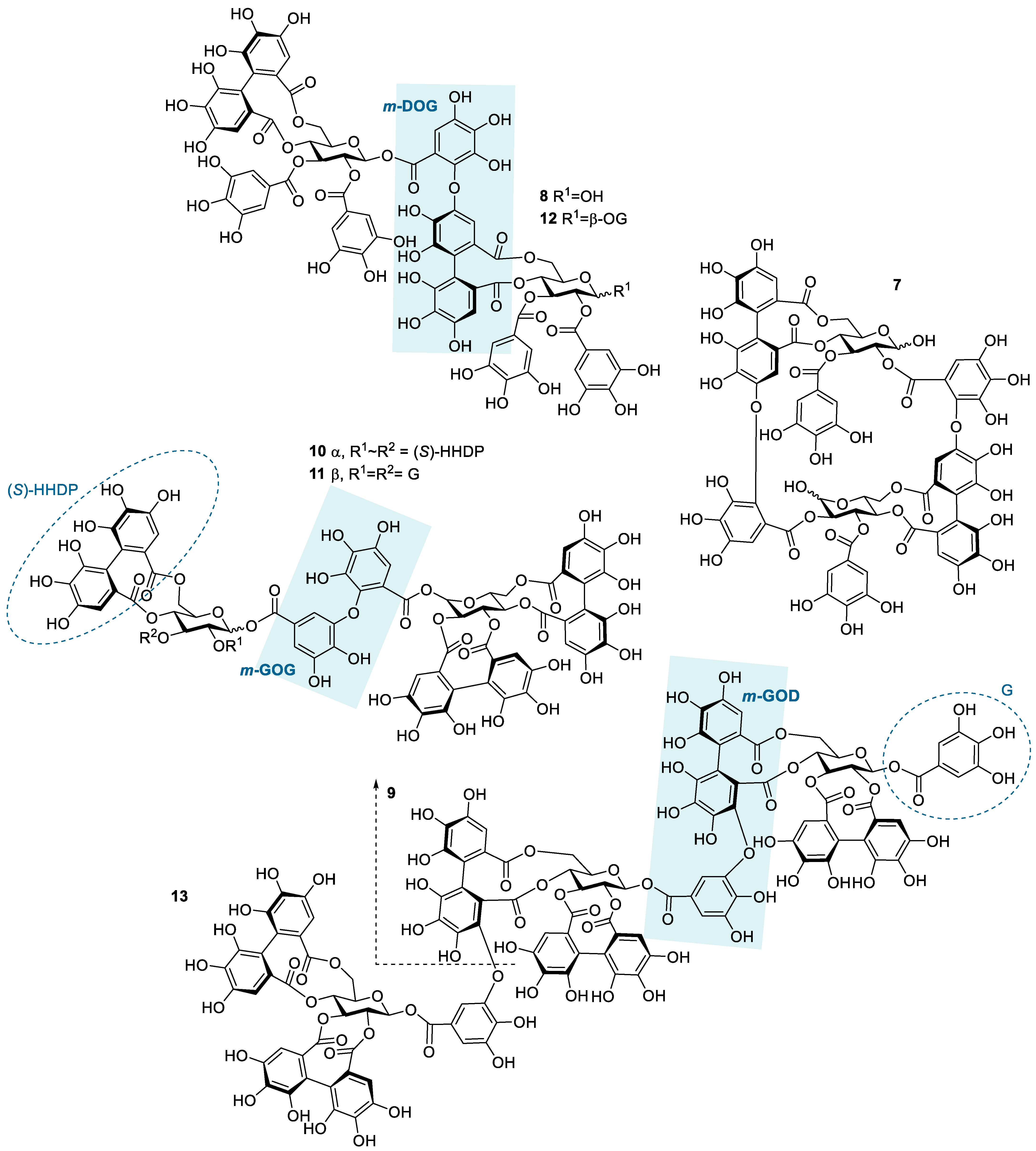 Molecules 28 05261 g002