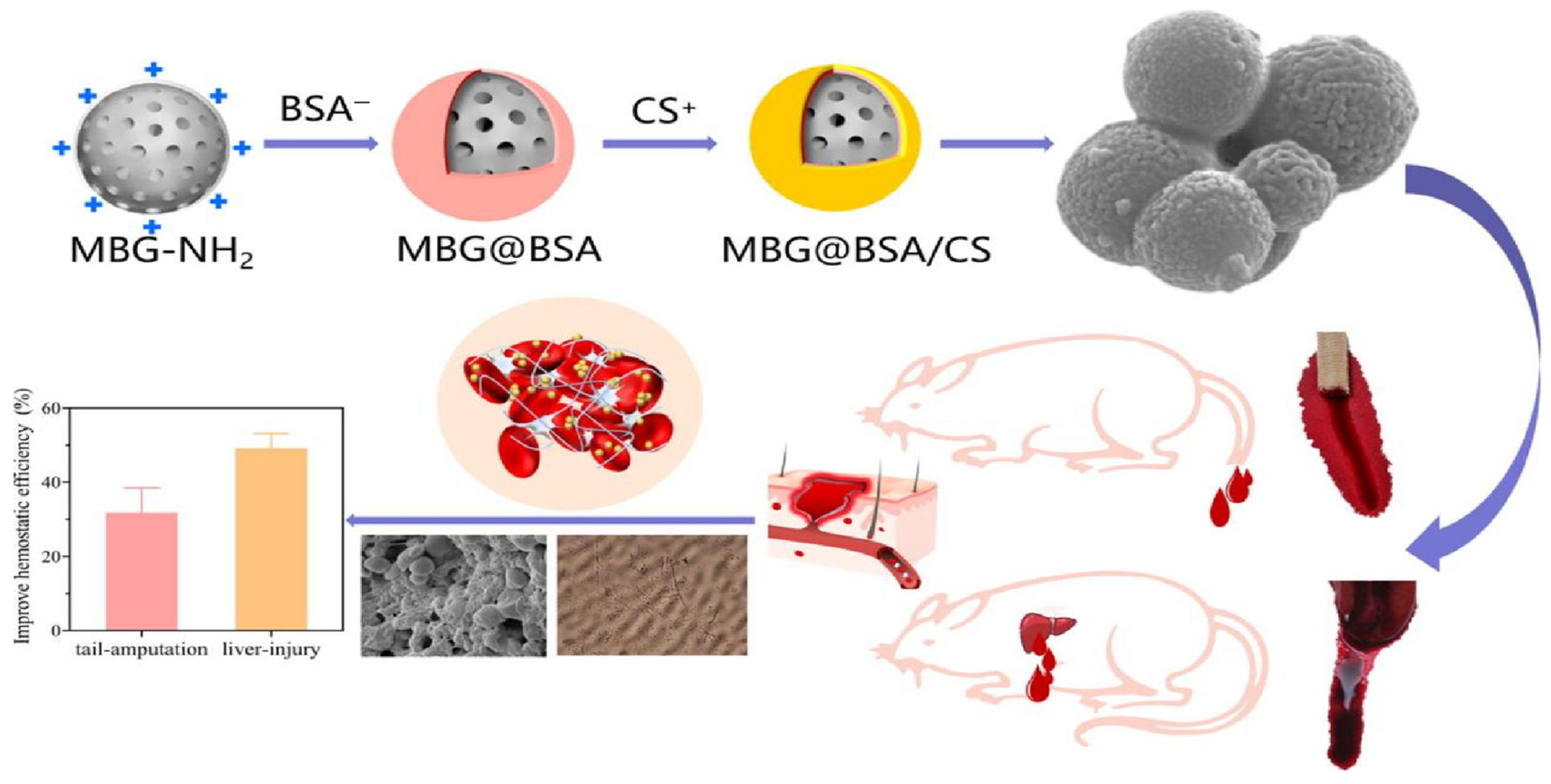 Molecules 28 05264 g002