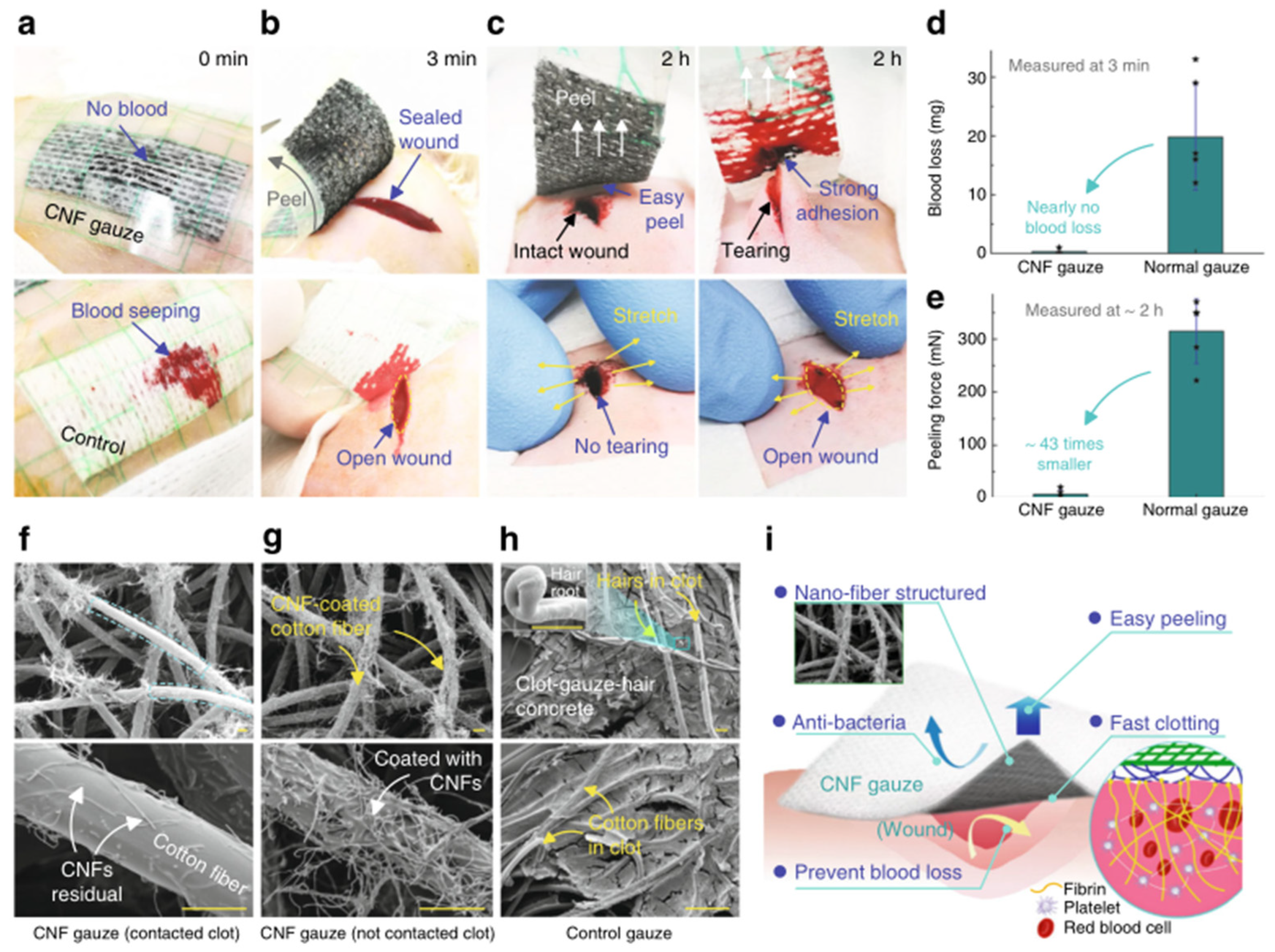 Molecules 28 05264 g005