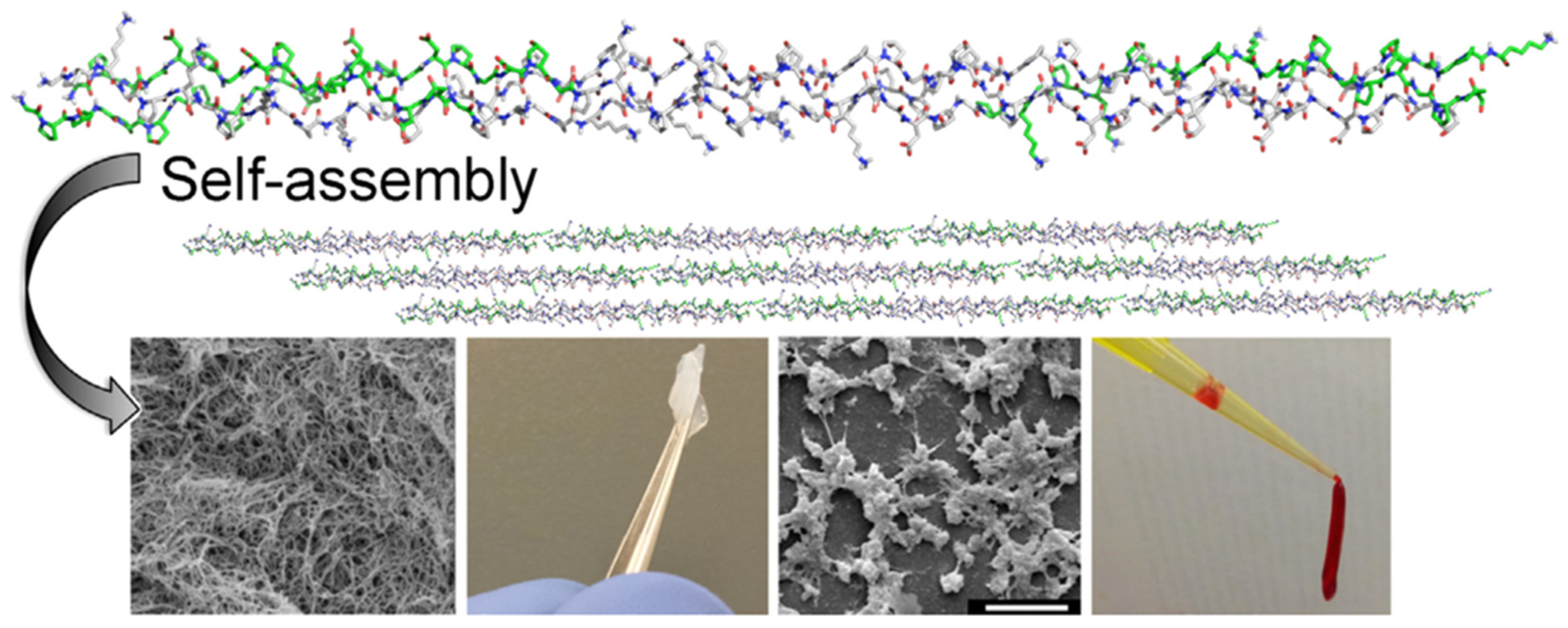 Molecules 28 05264 g006
