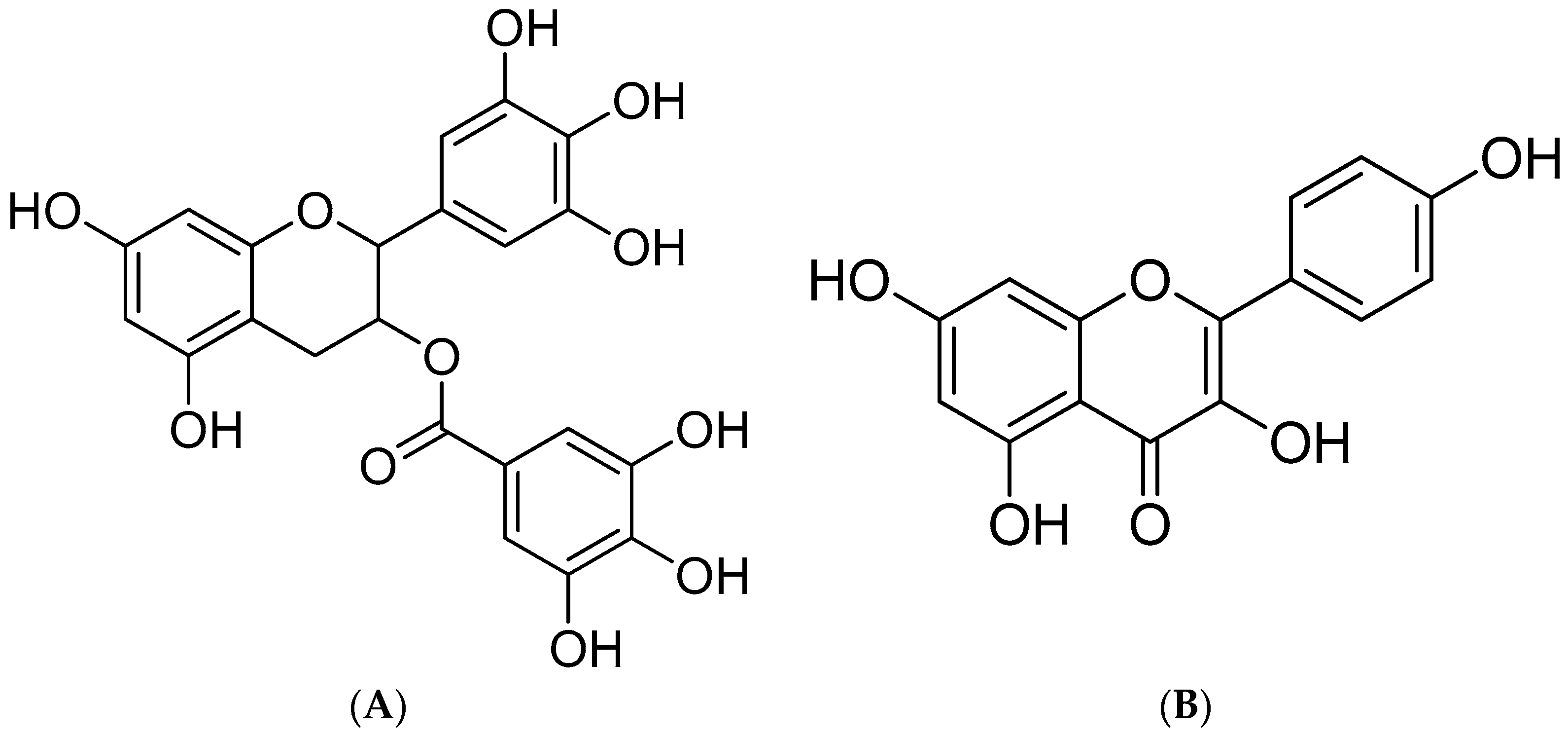 Molecules 28 05265 g001