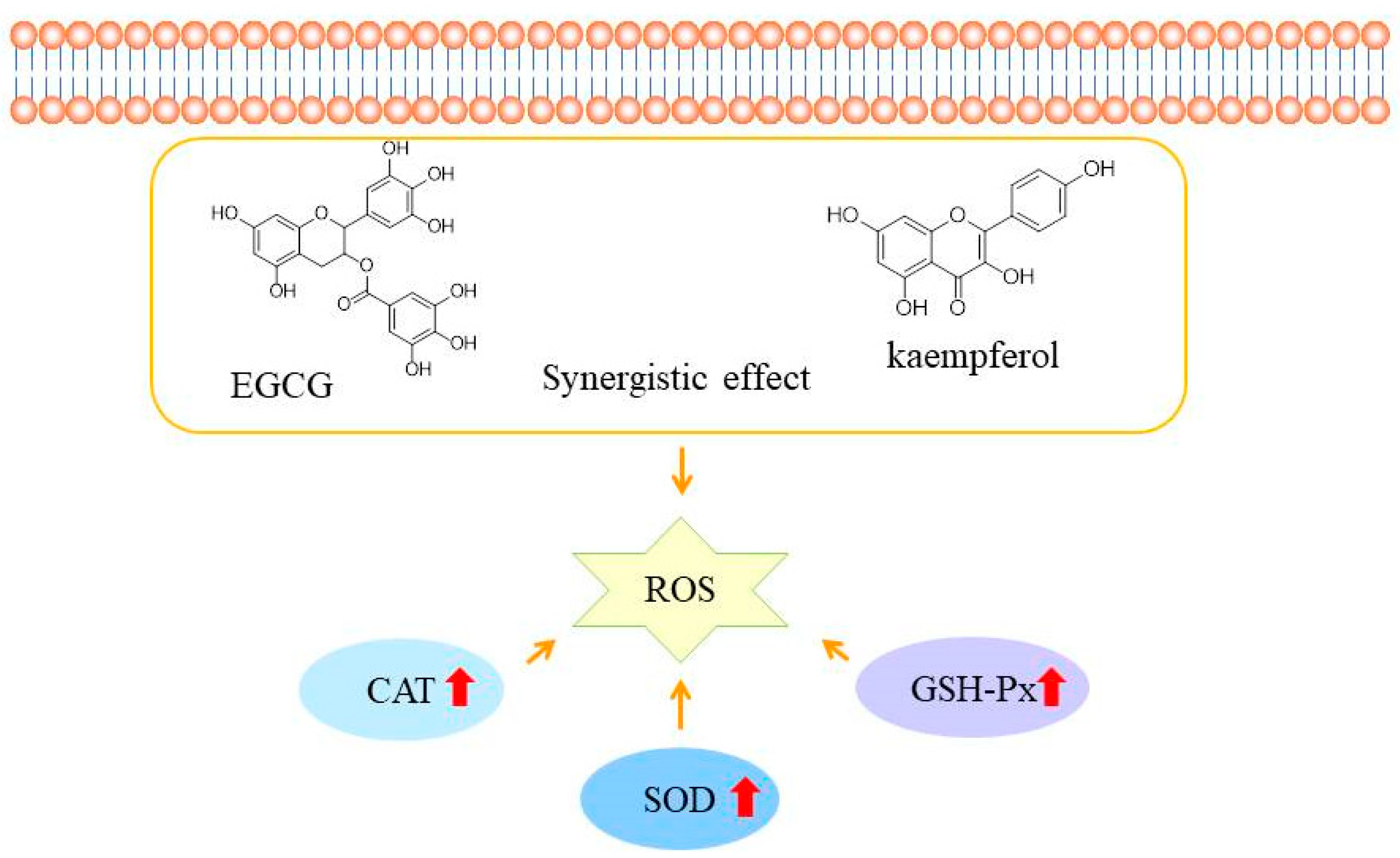 Molecules 28 05265 g005