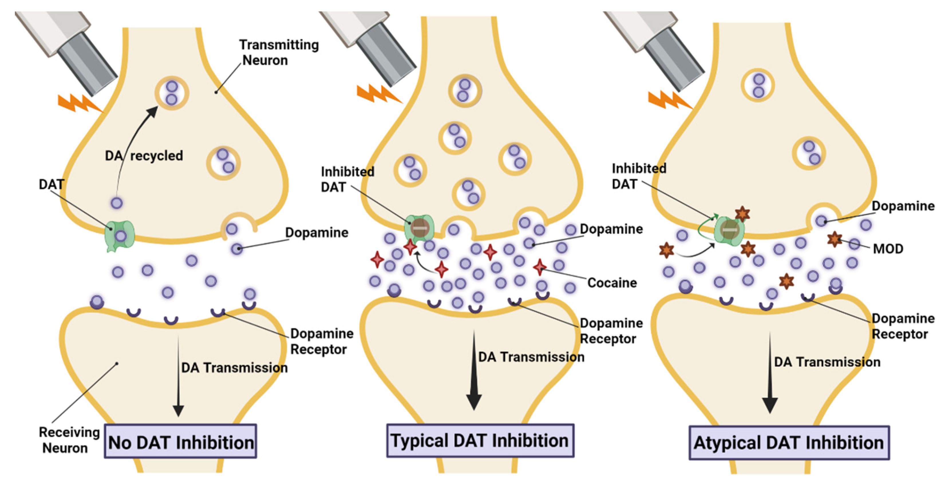 Molecules 28 05270 g003 Molecules 28 05270 g003