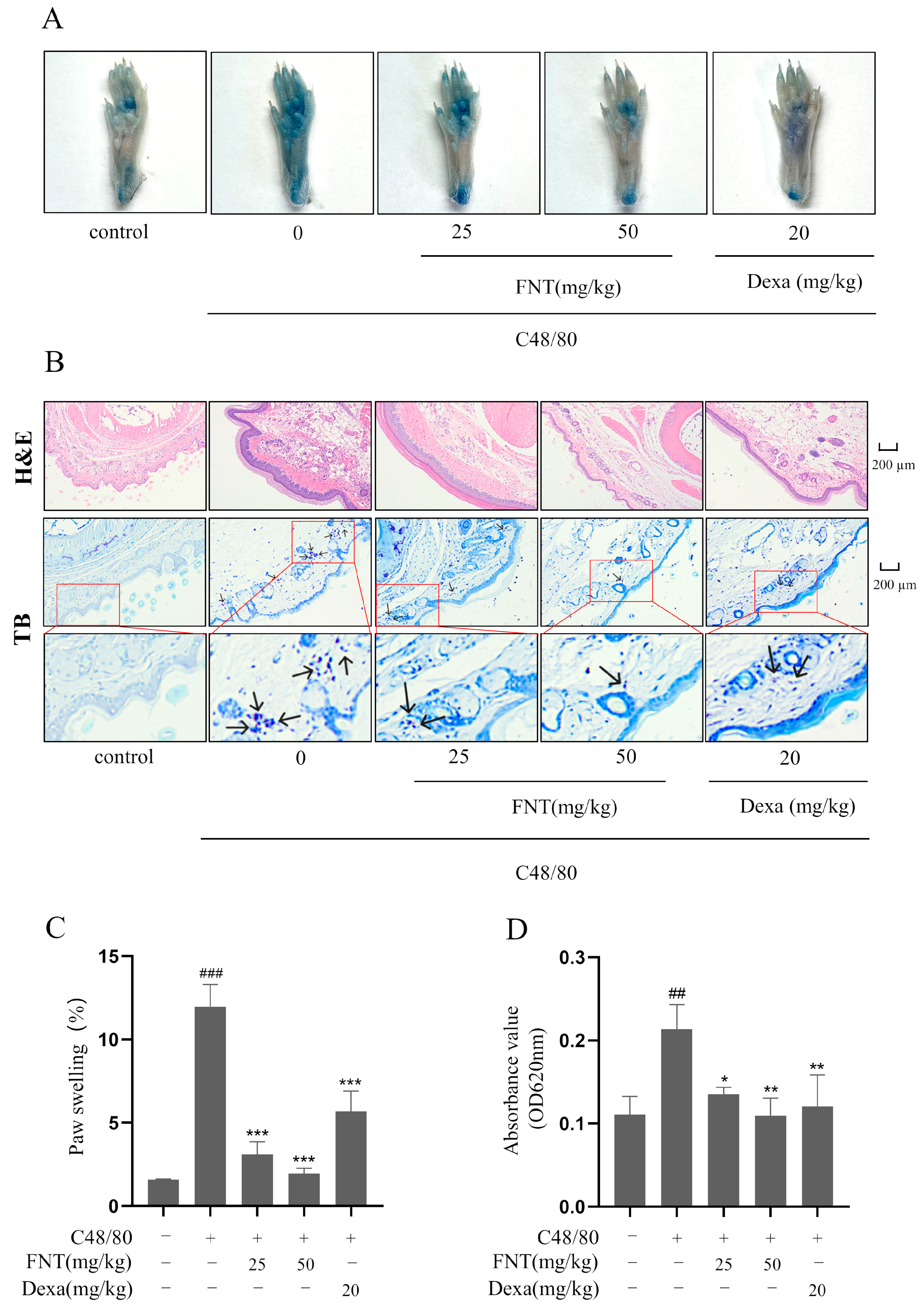 Molecules 28 05271 g005 Molecules 28 05271 g005