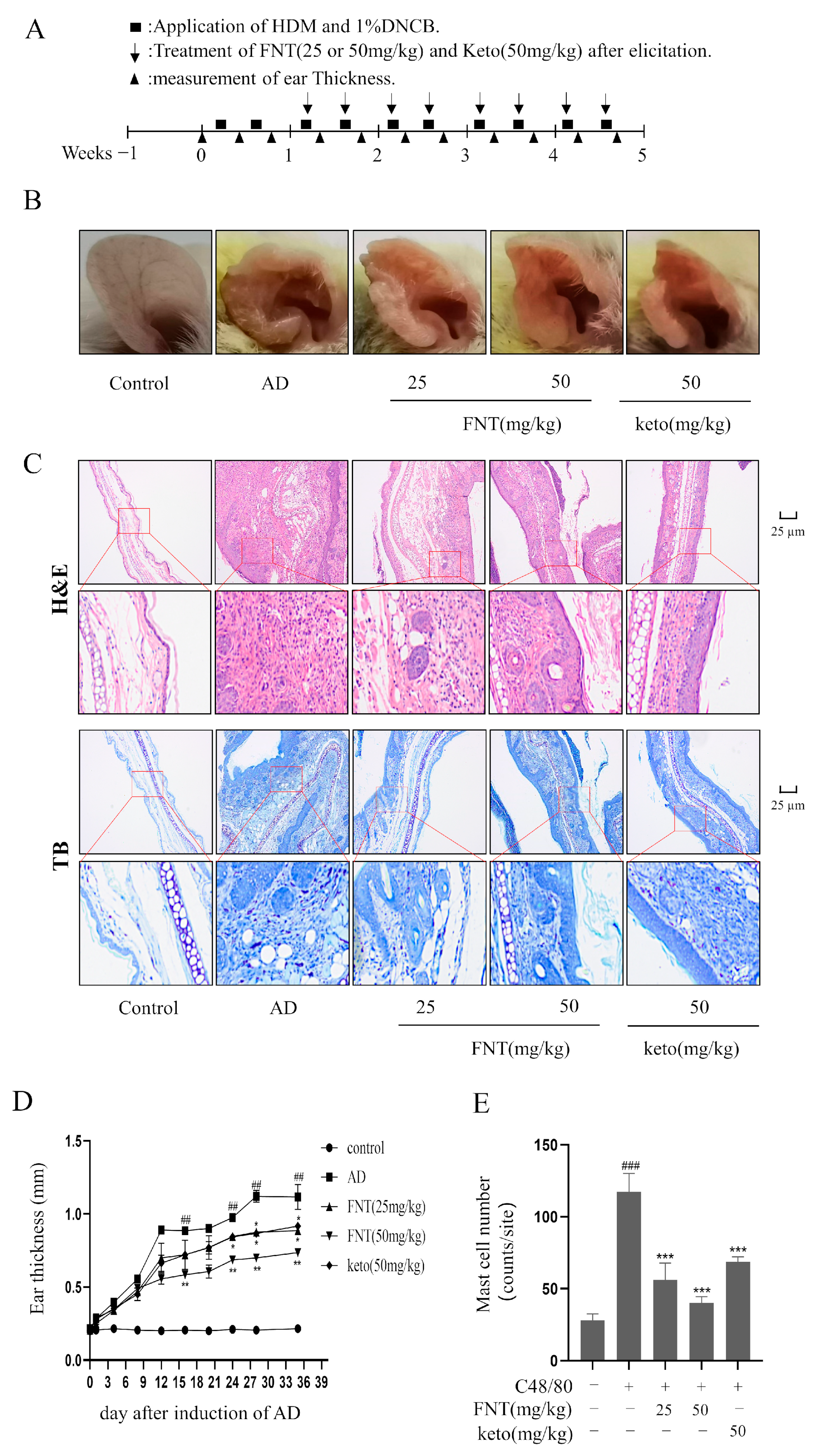 Molecules 28 05271 g007 Molecules 28 05271 g007
