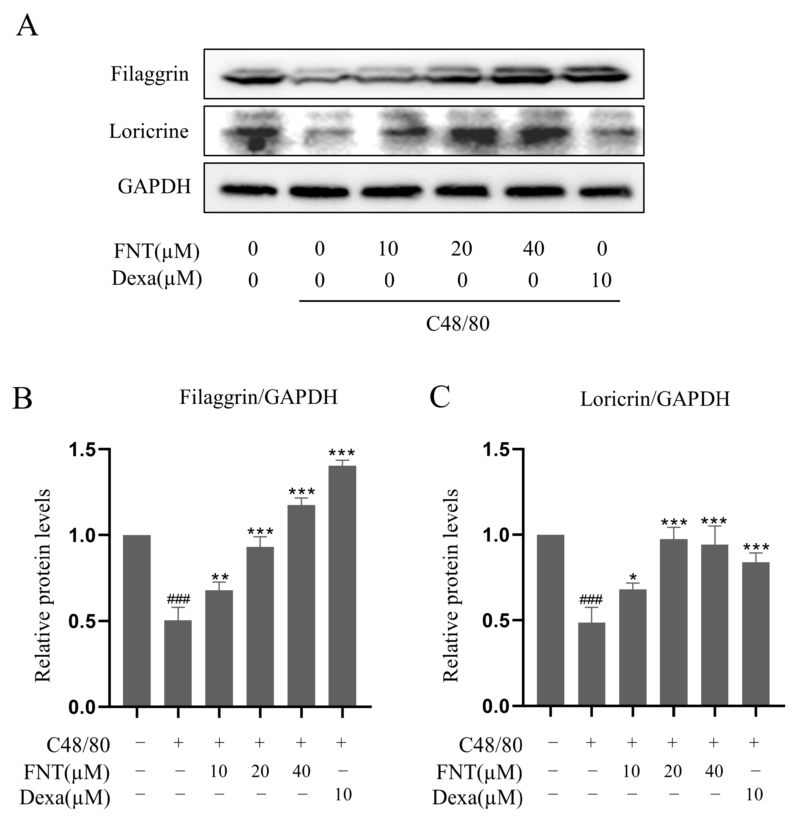 Molecules 28 05271 g008 Molecules 28 05271 g008
