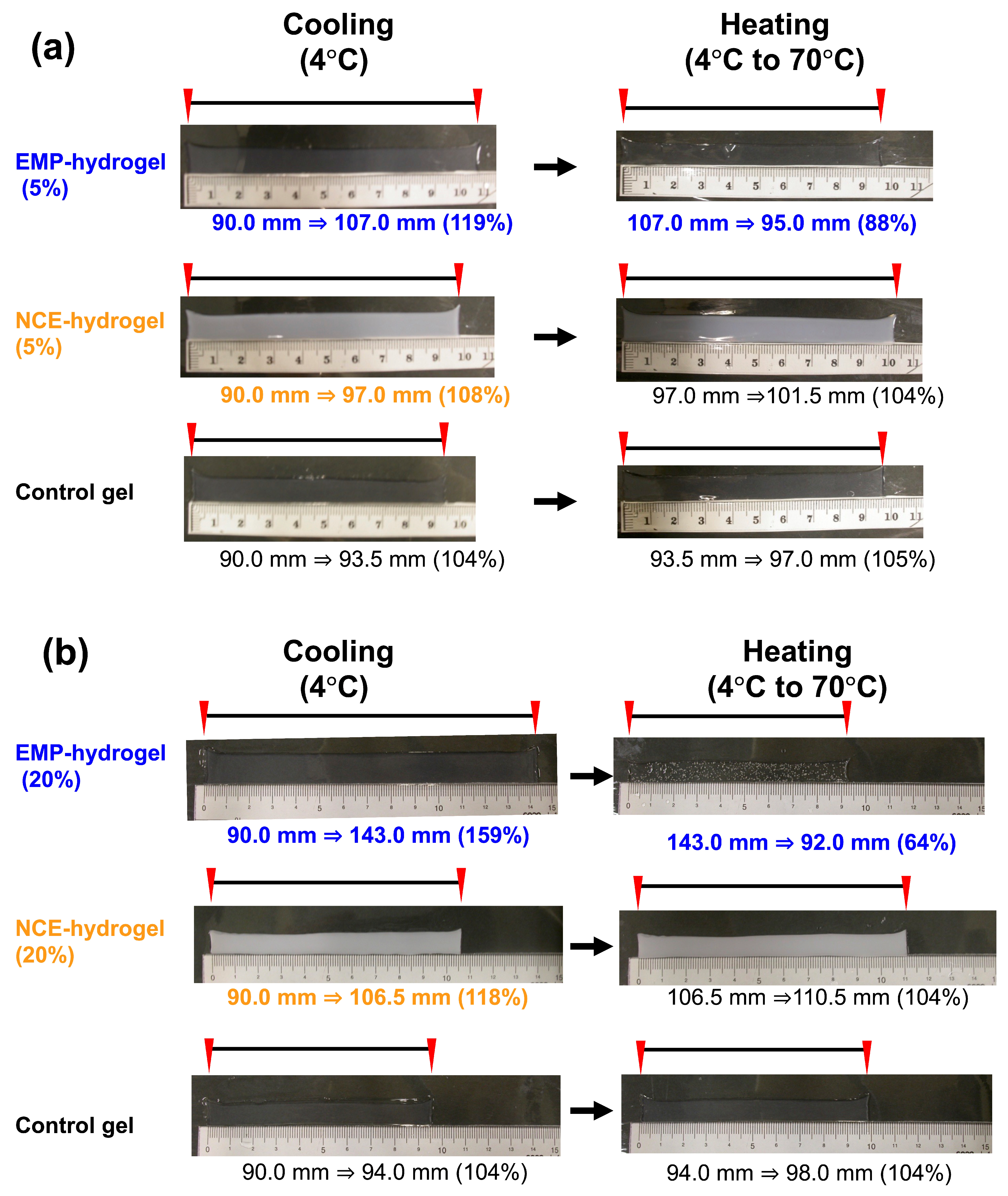 Molecules 28 05274 g002