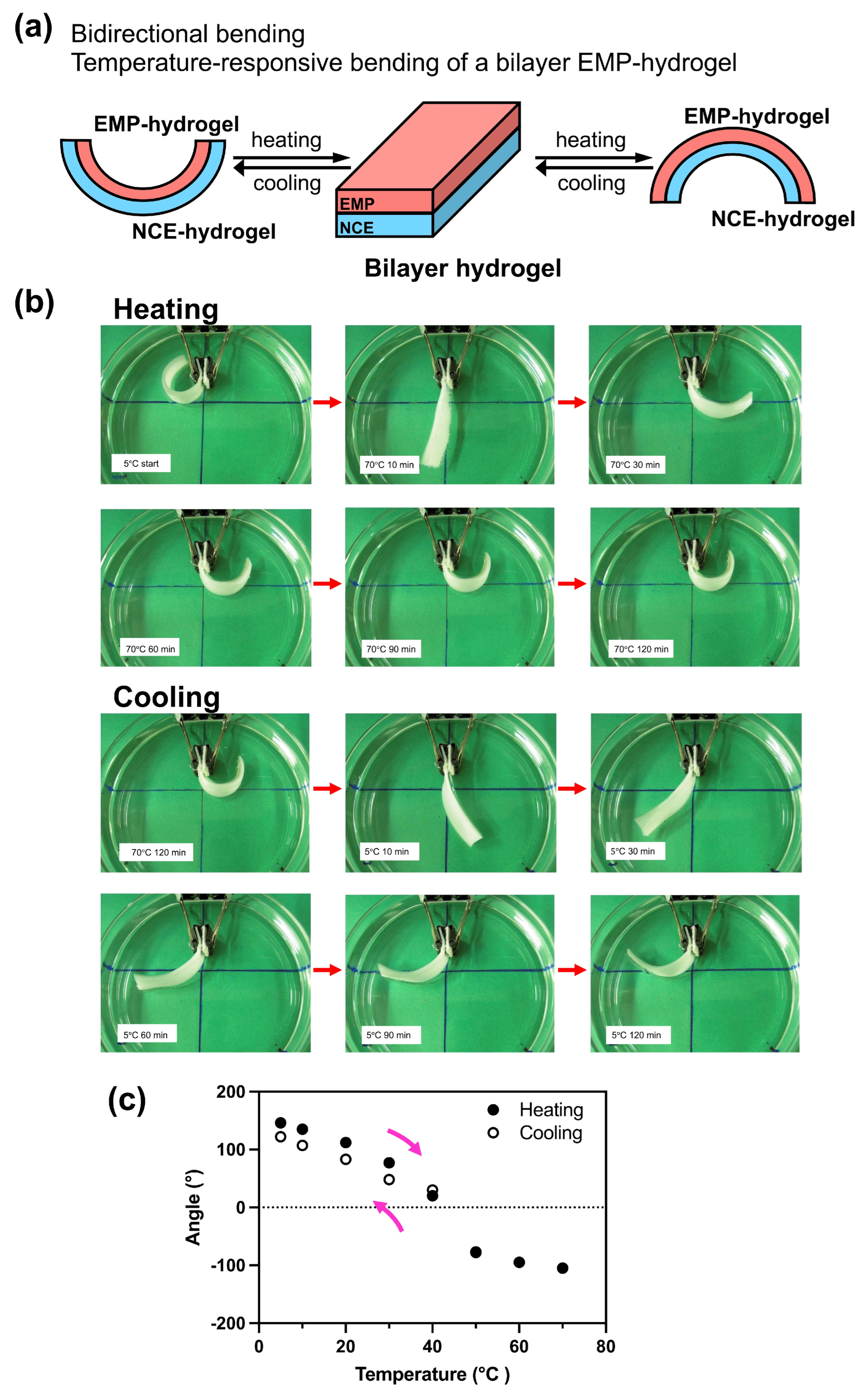 Molecules 28 05274 g005