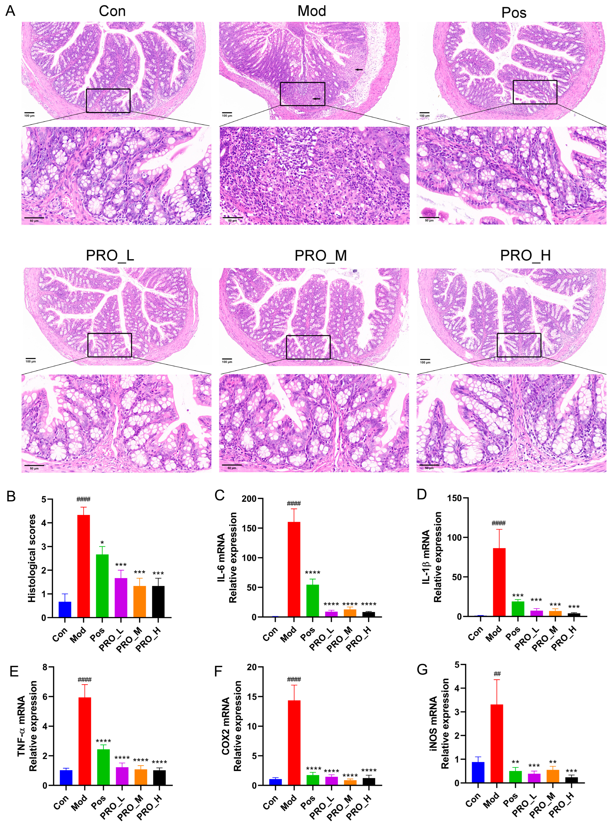 Molecules 28 05277 g002 Molecules 28 05277 g002