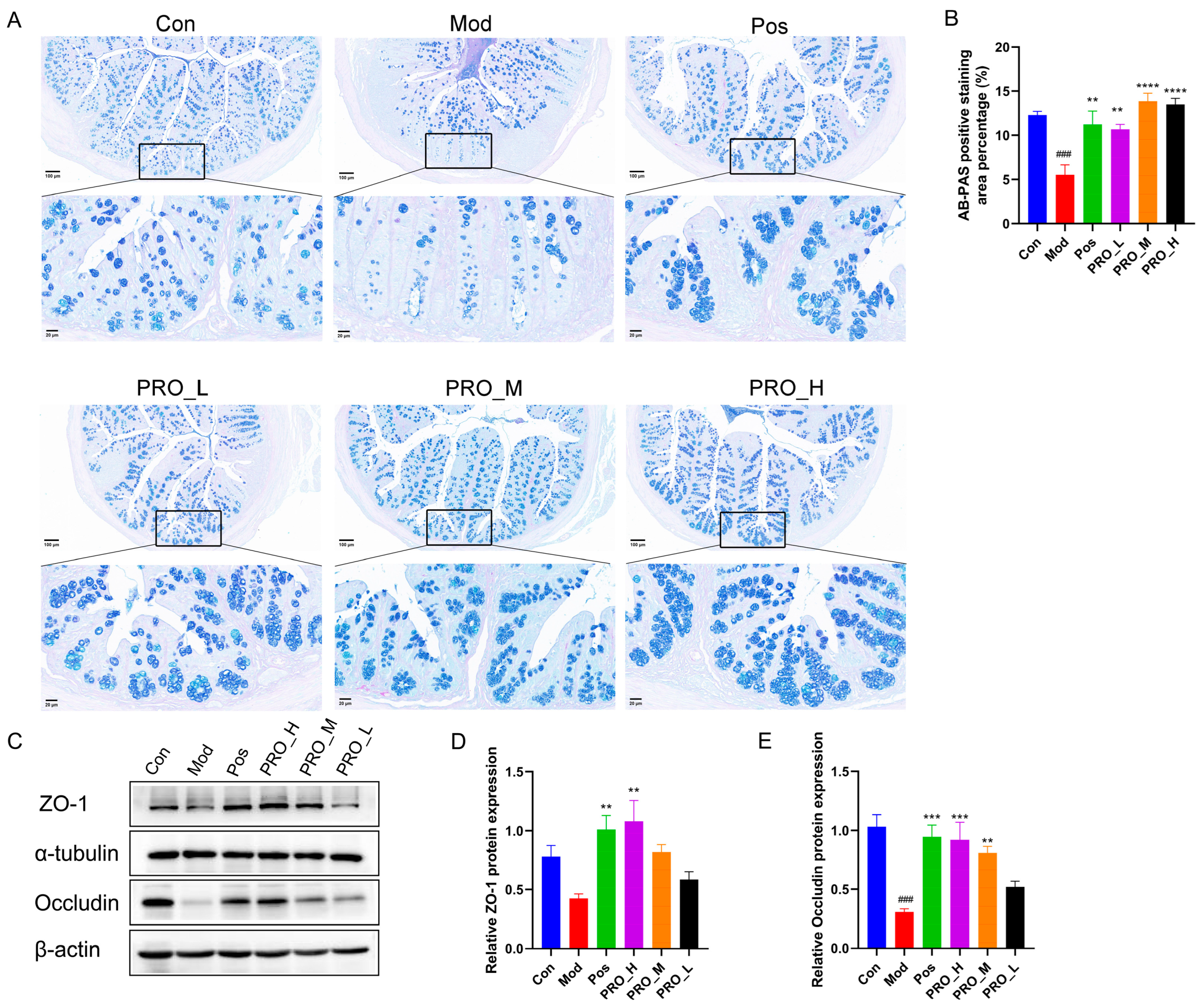 Molecules 28 05277 g003 Molecules 28 05277 g003