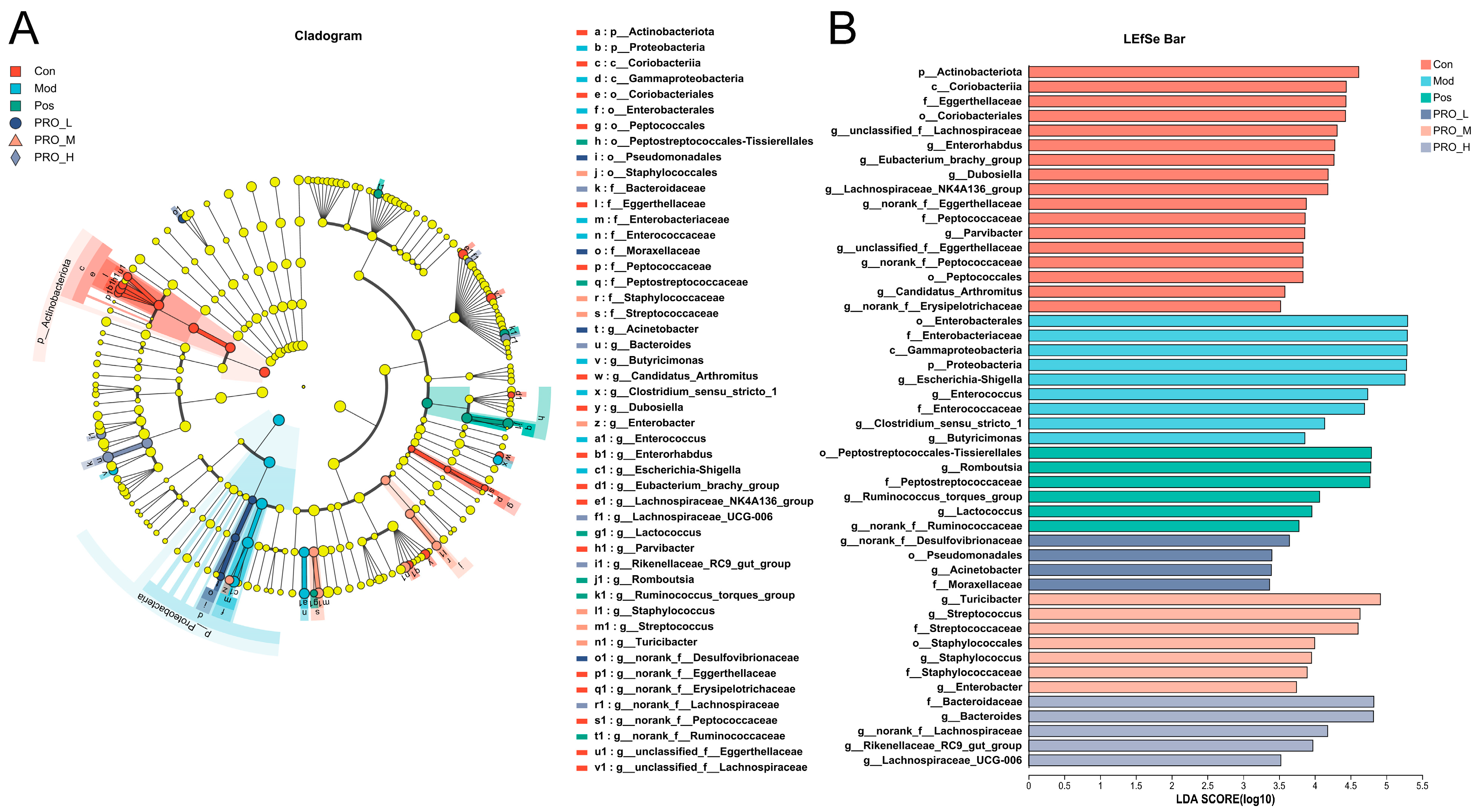 Molecules 28 05277 g006 Molecules 28 05277 g006