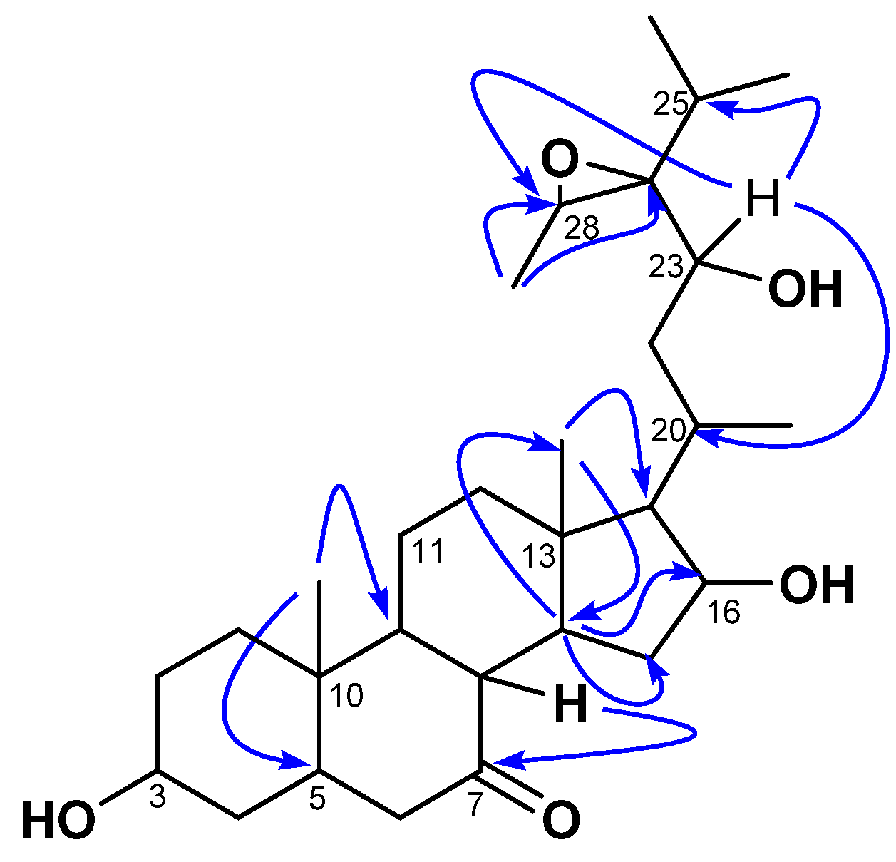 Molecules 28 05278 g002