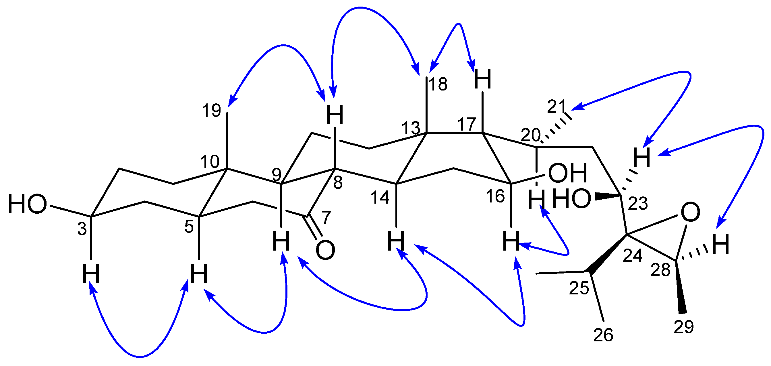 Molecules 28 05278 g003