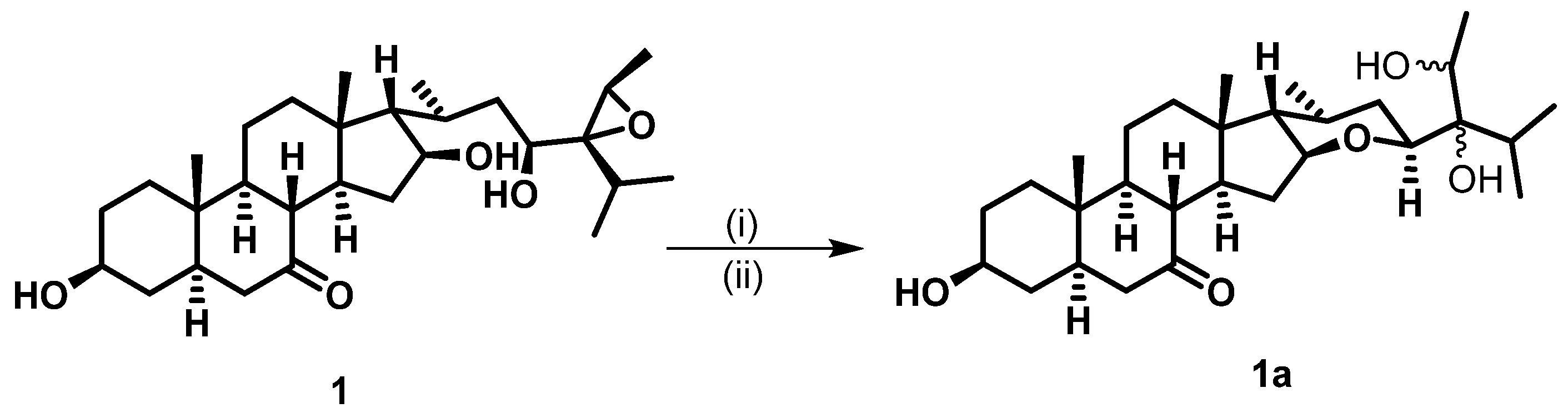 Molecules 28 05278 g004