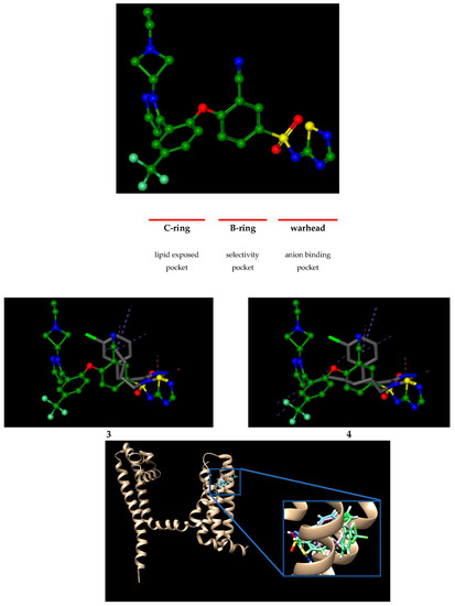 Molecules 28 05287 g002