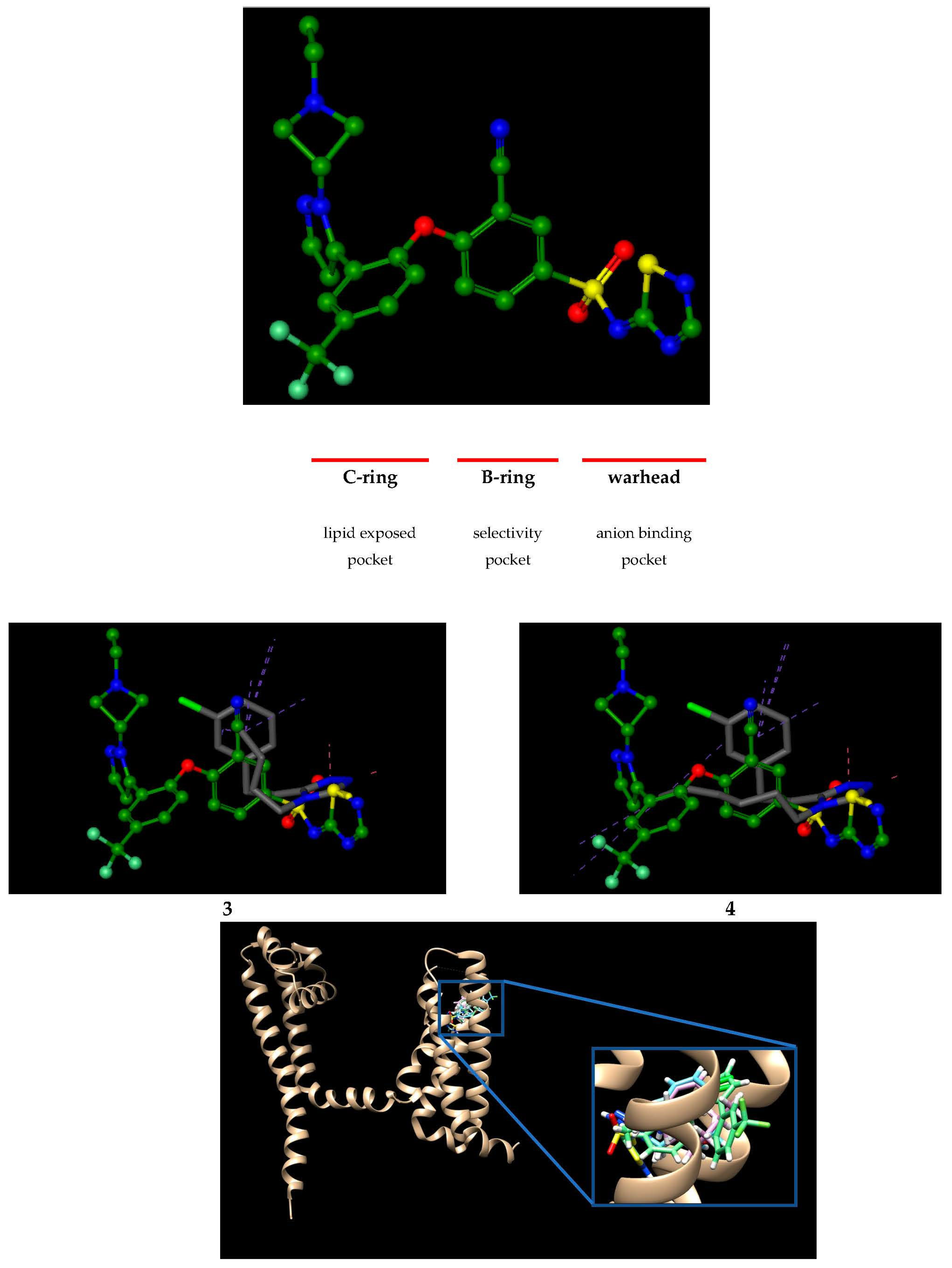 Molecules 28 05287 g002