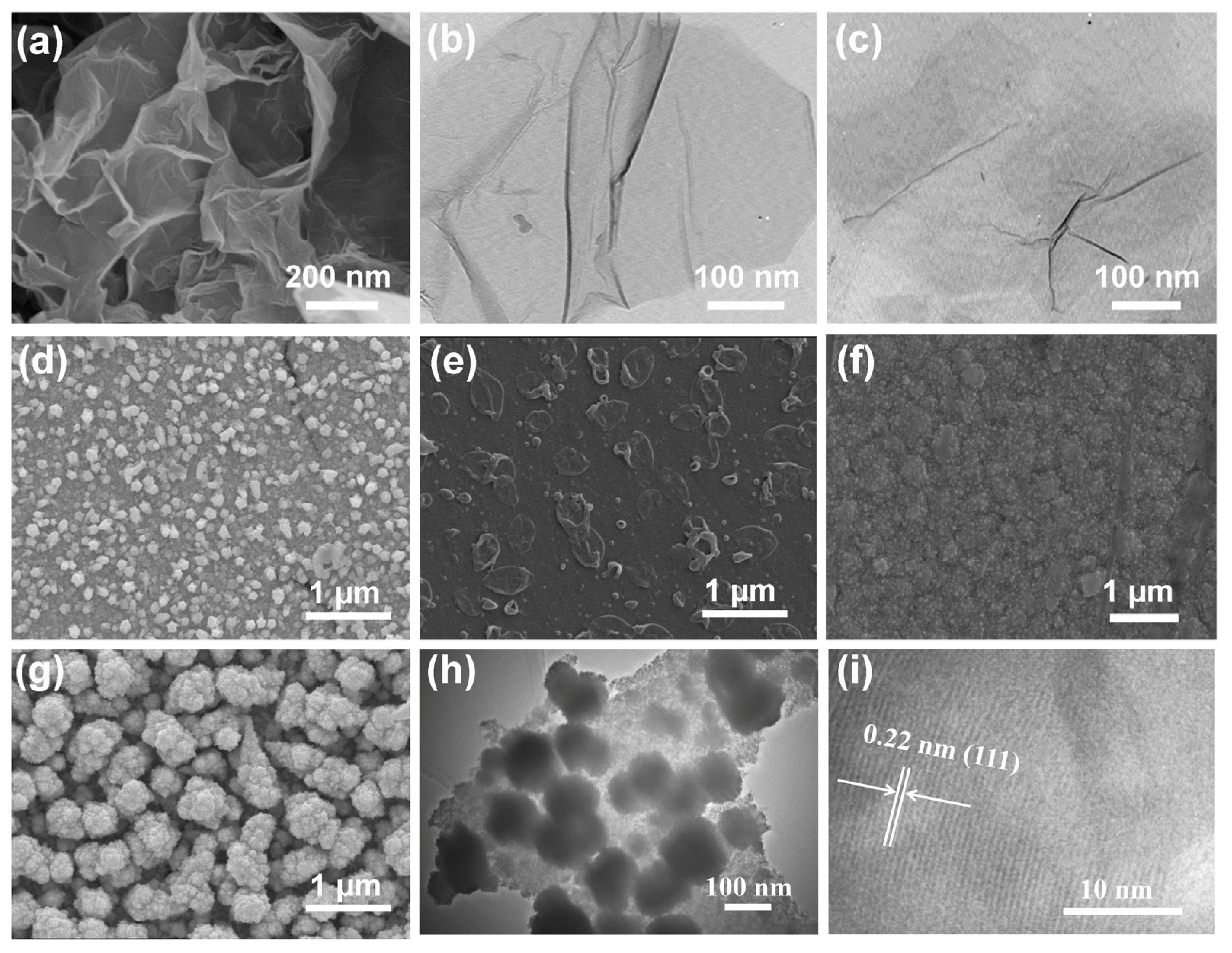 Molecules 28 05296 g002 Molecules 28 05296 g002