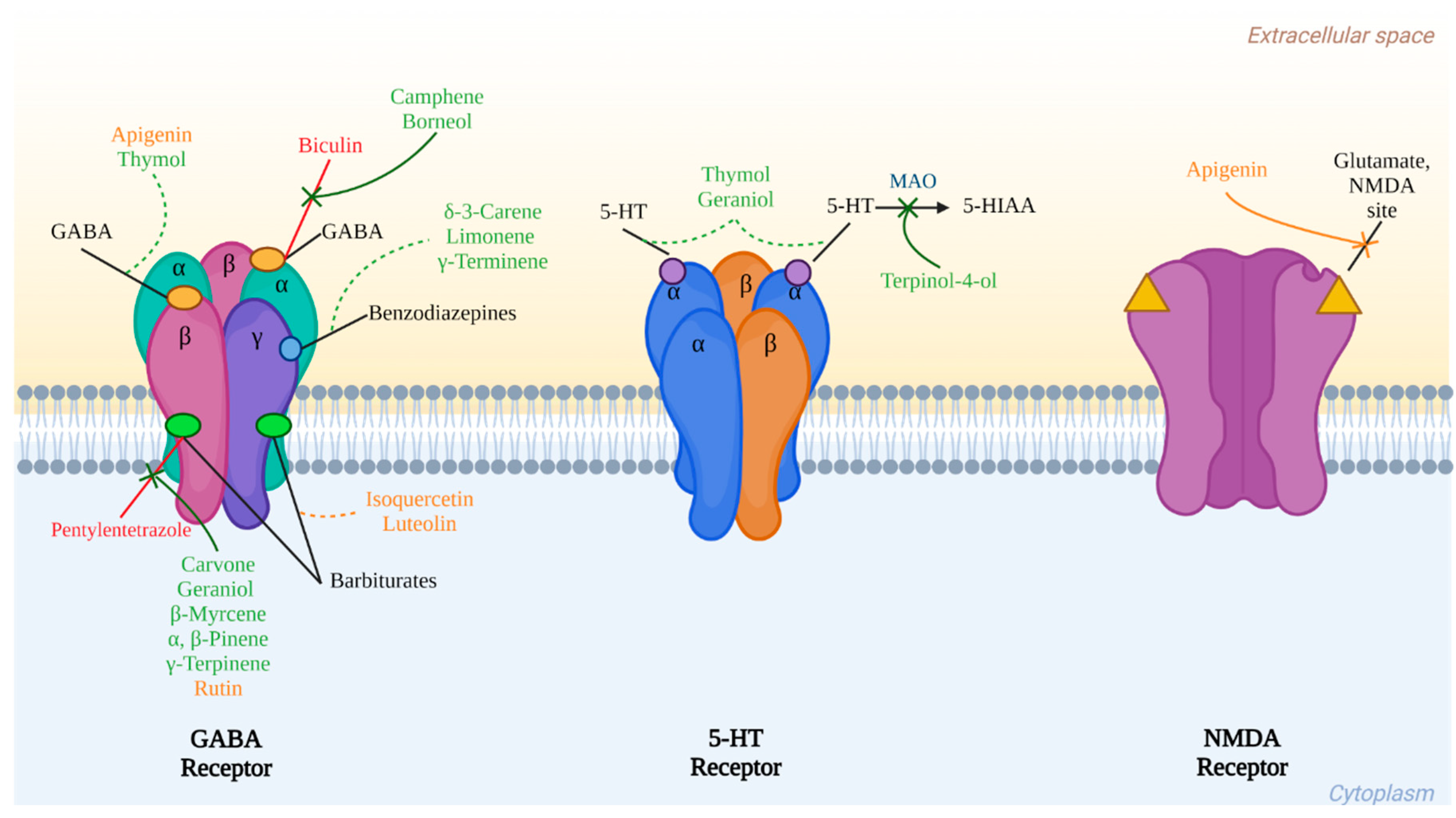 Molecules 28 05314 g002