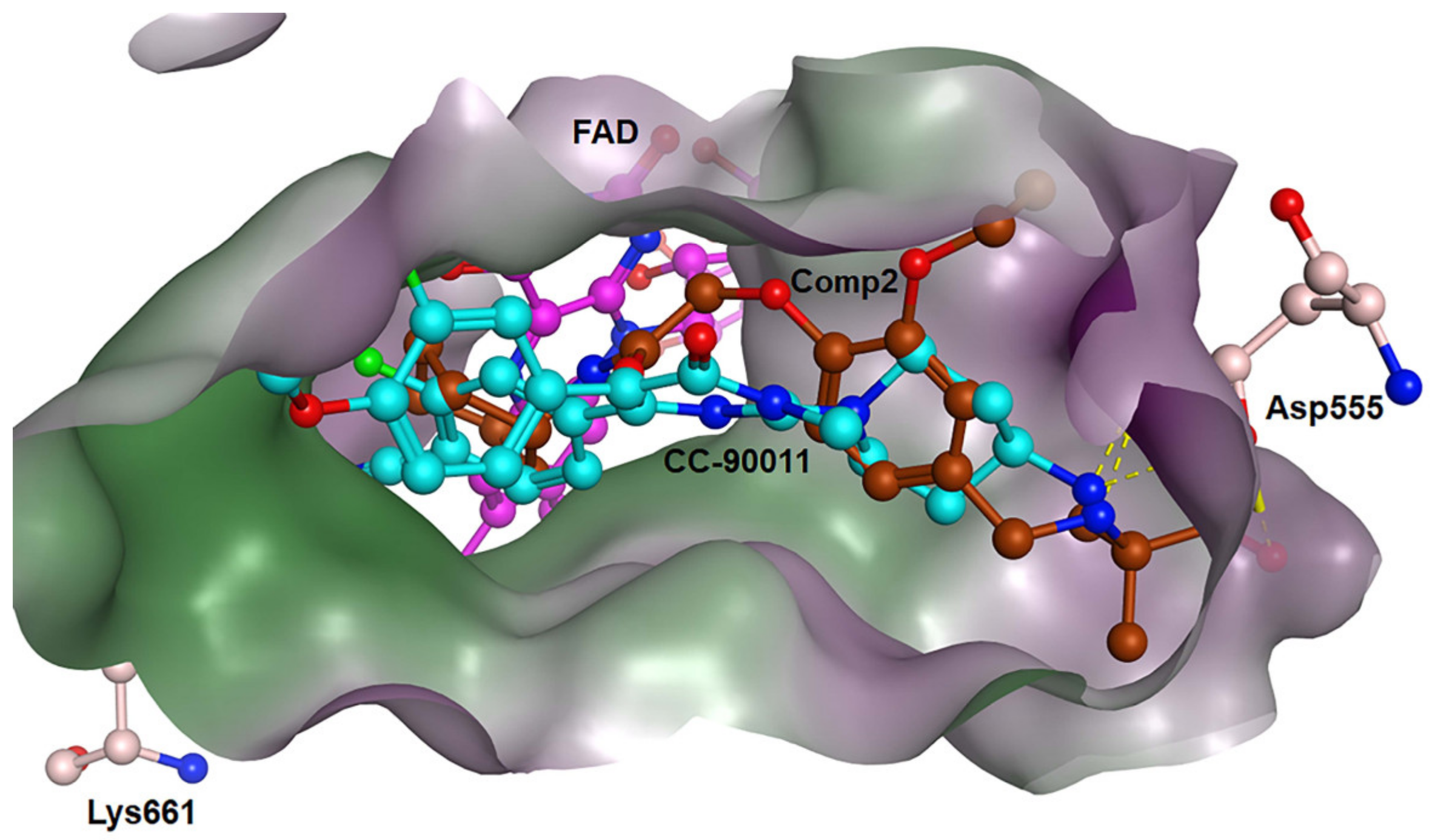 Molecules 28 05315 g008