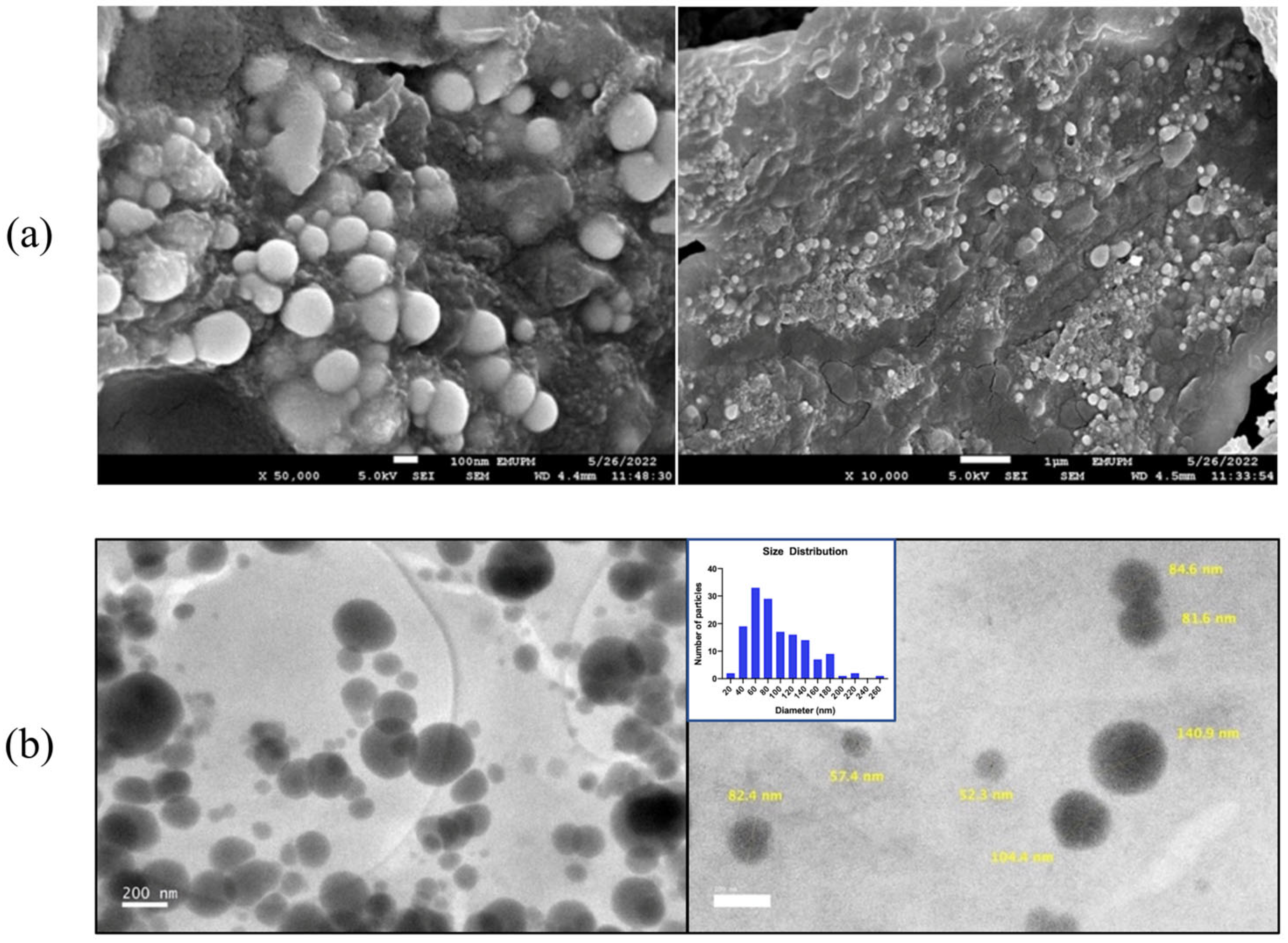 Molecules 28 05322 g008