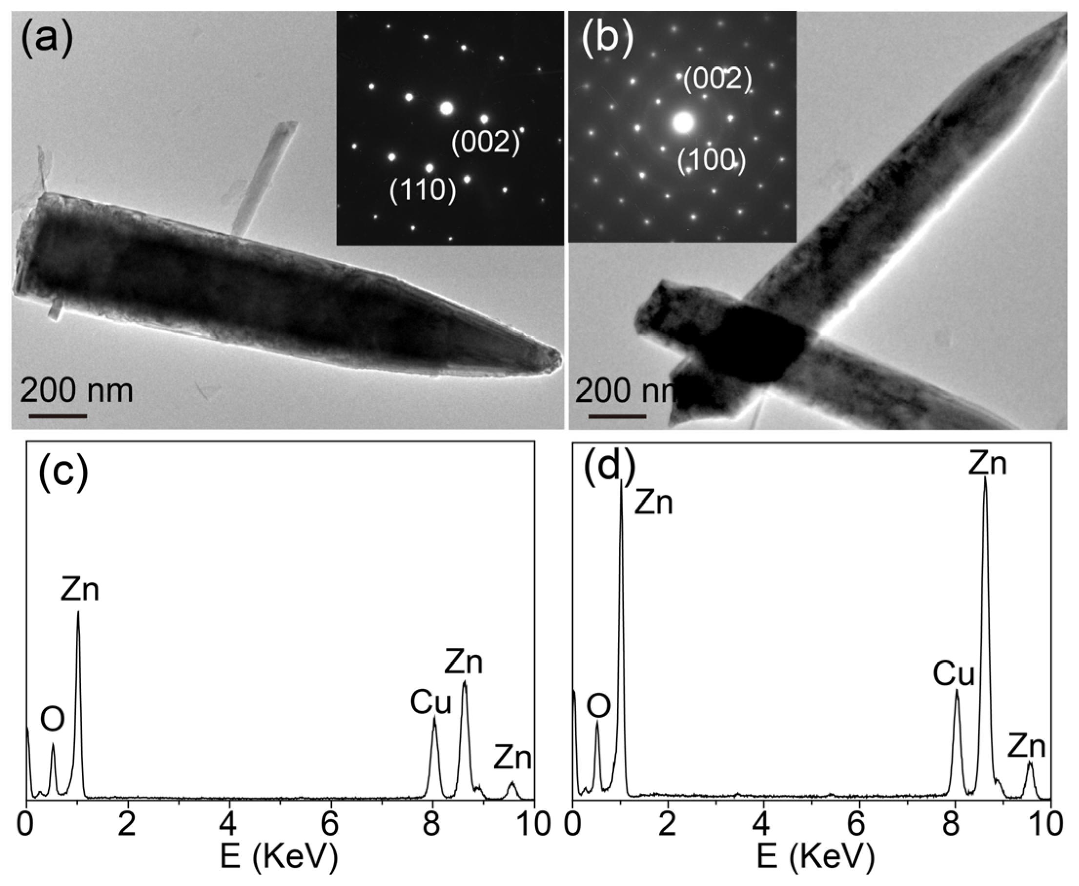 Molecules 28 05329 g004 Molecules 28 05329 g004