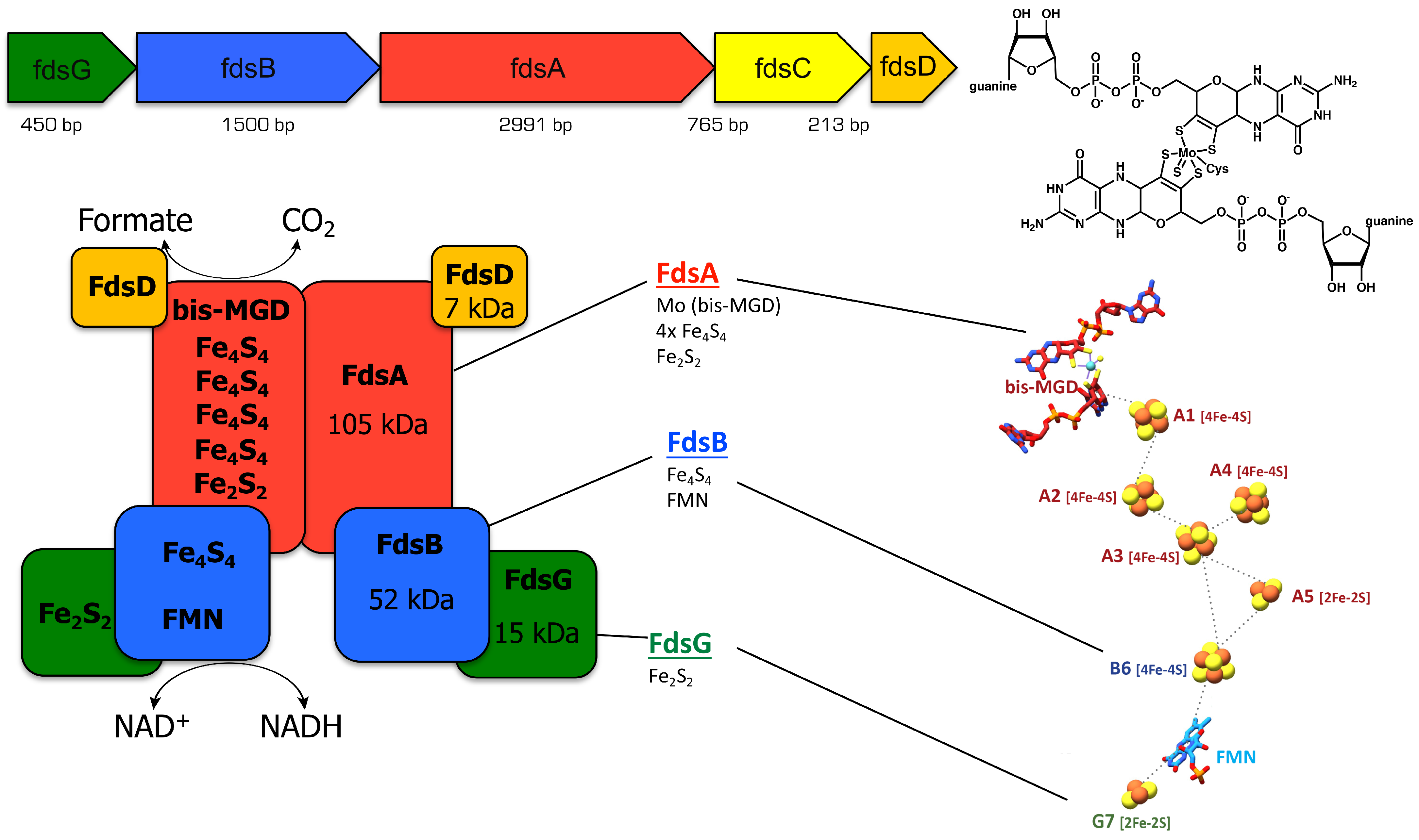 Molecules 28 05338 g001 Molecules 28 05338 g001