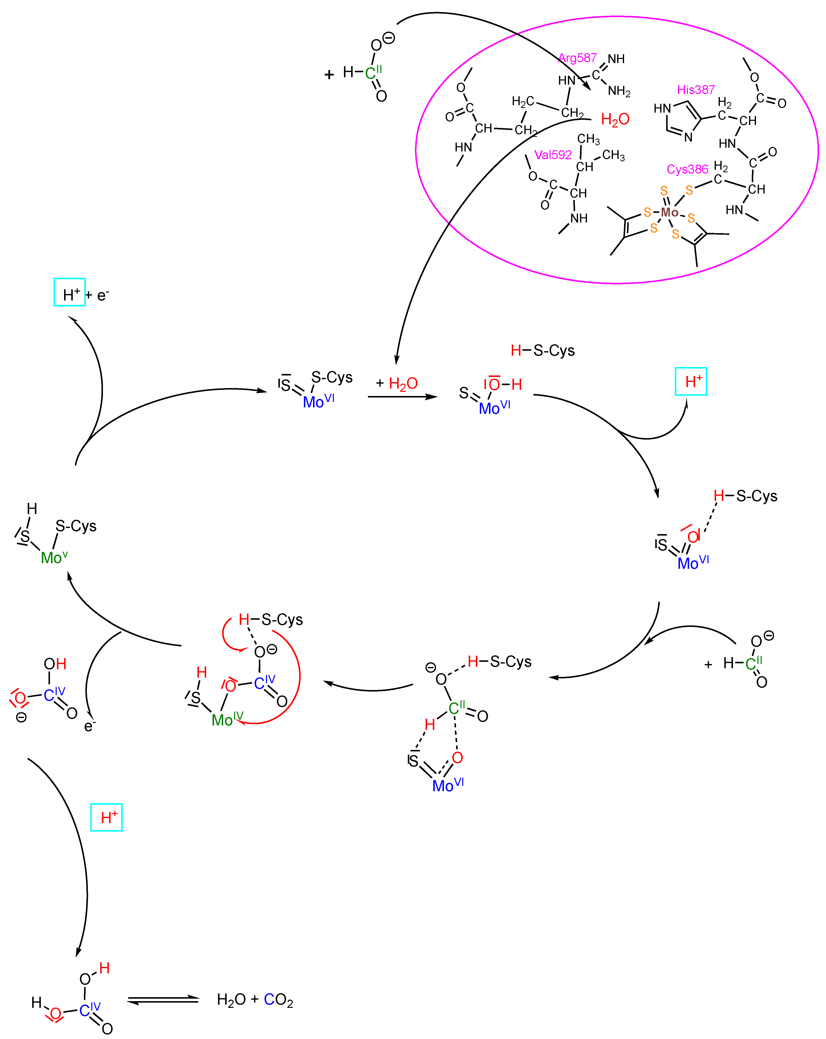Molecules 28 05338 g002 Molecules 28 05338 g002