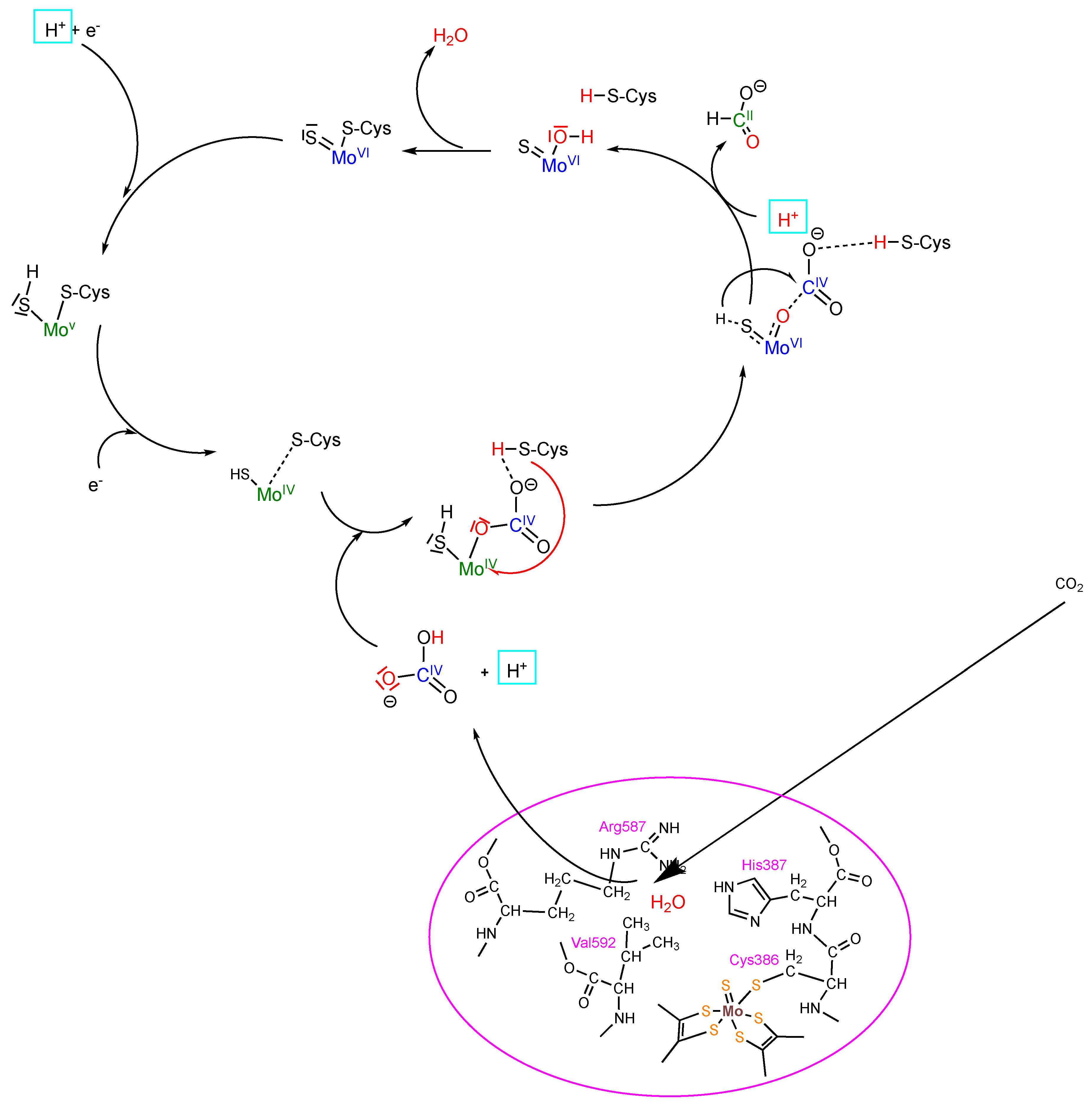 Molecules 28 05338 g003 Molecules 28 05338 g003
