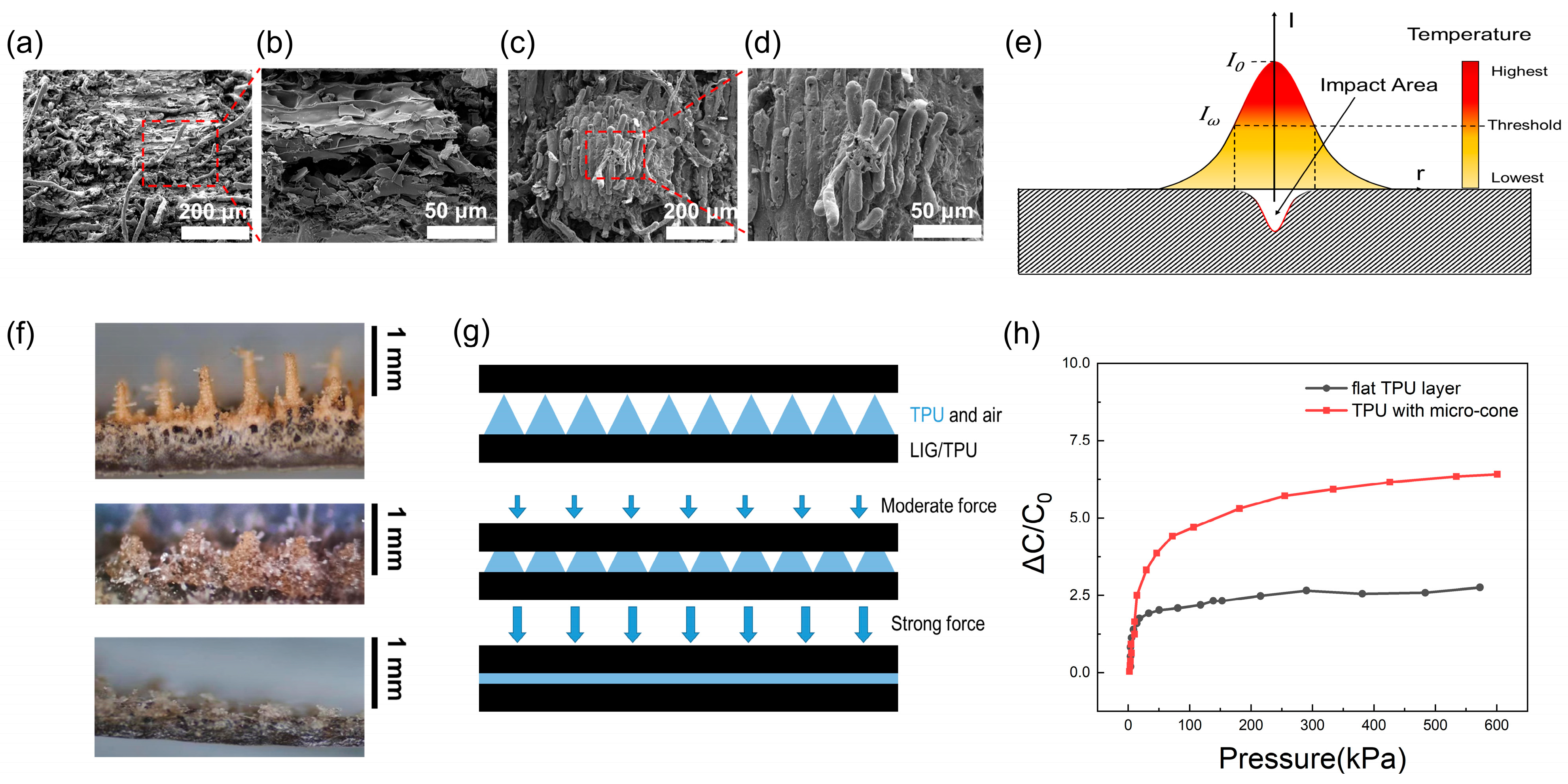Molecules 28 05339 g003 Molecules 28 05339 g003