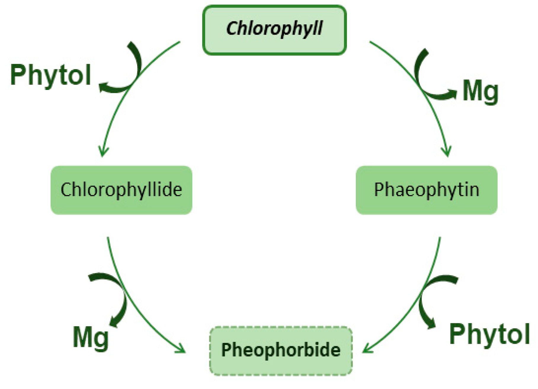 Molecules 28 05344 g002